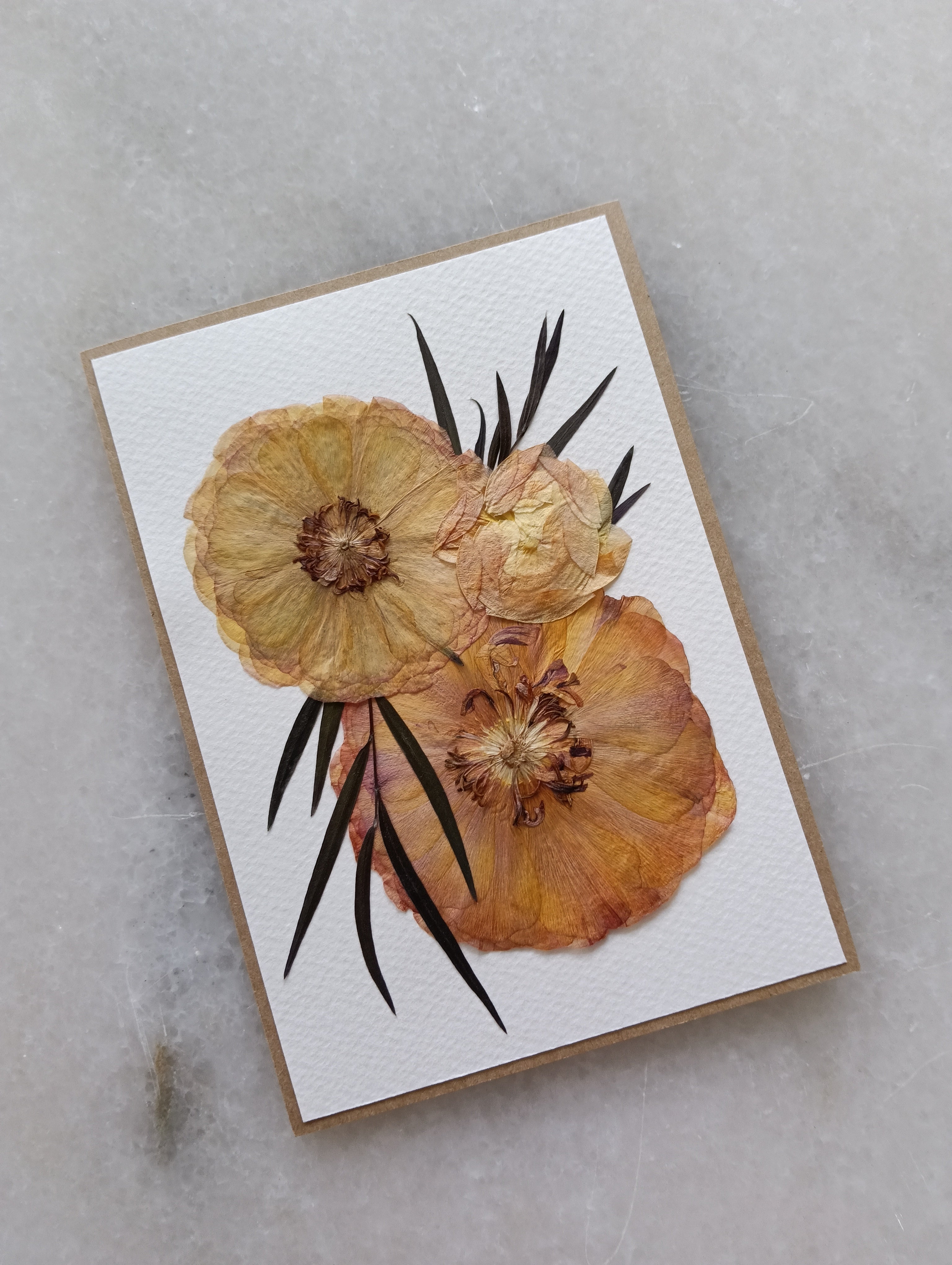 Radiant Ranunculus | Pressed Flower Handmade Card