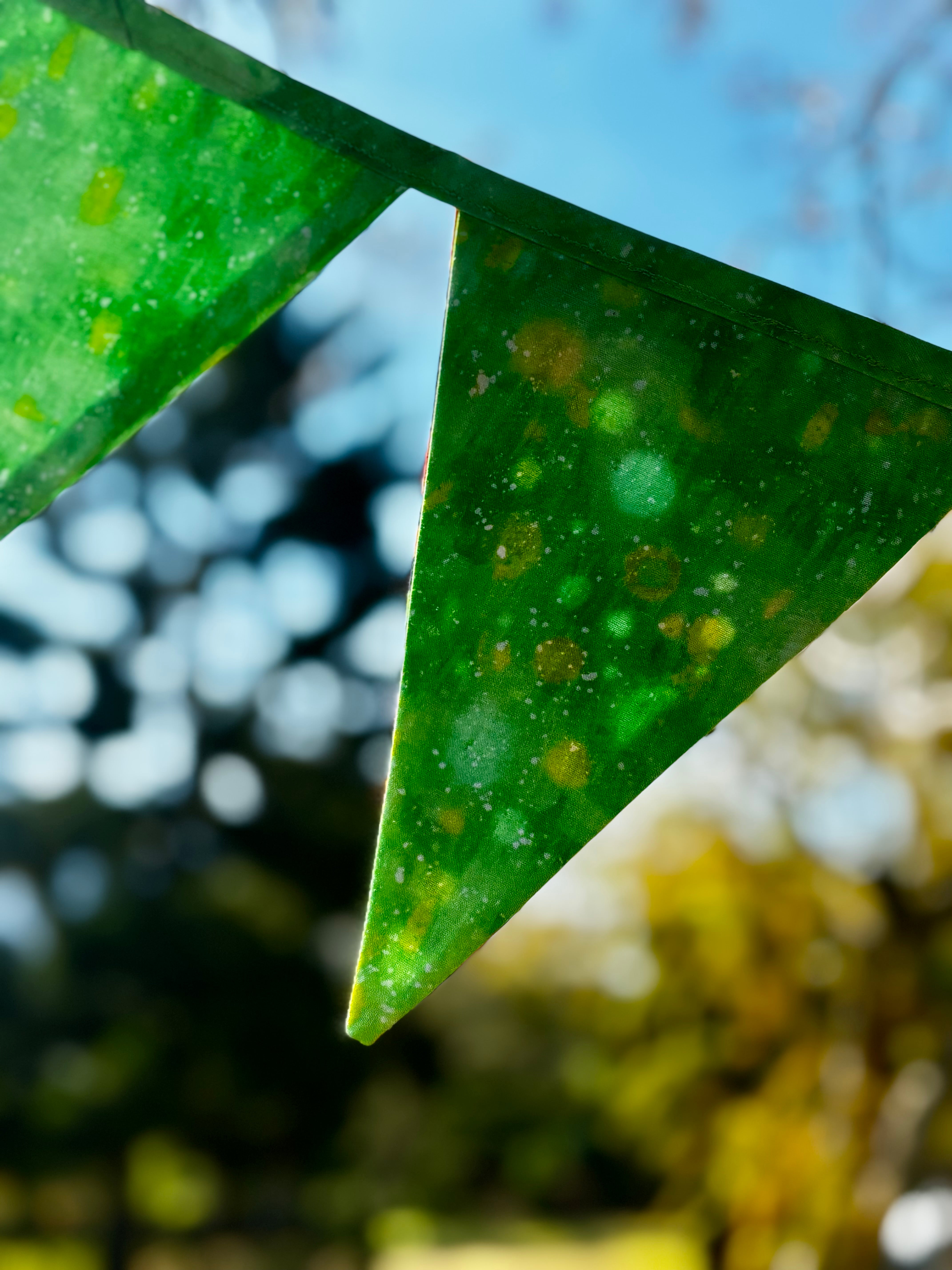 Party Time sustainable Bunting 12 Flags Double Sided with green binding