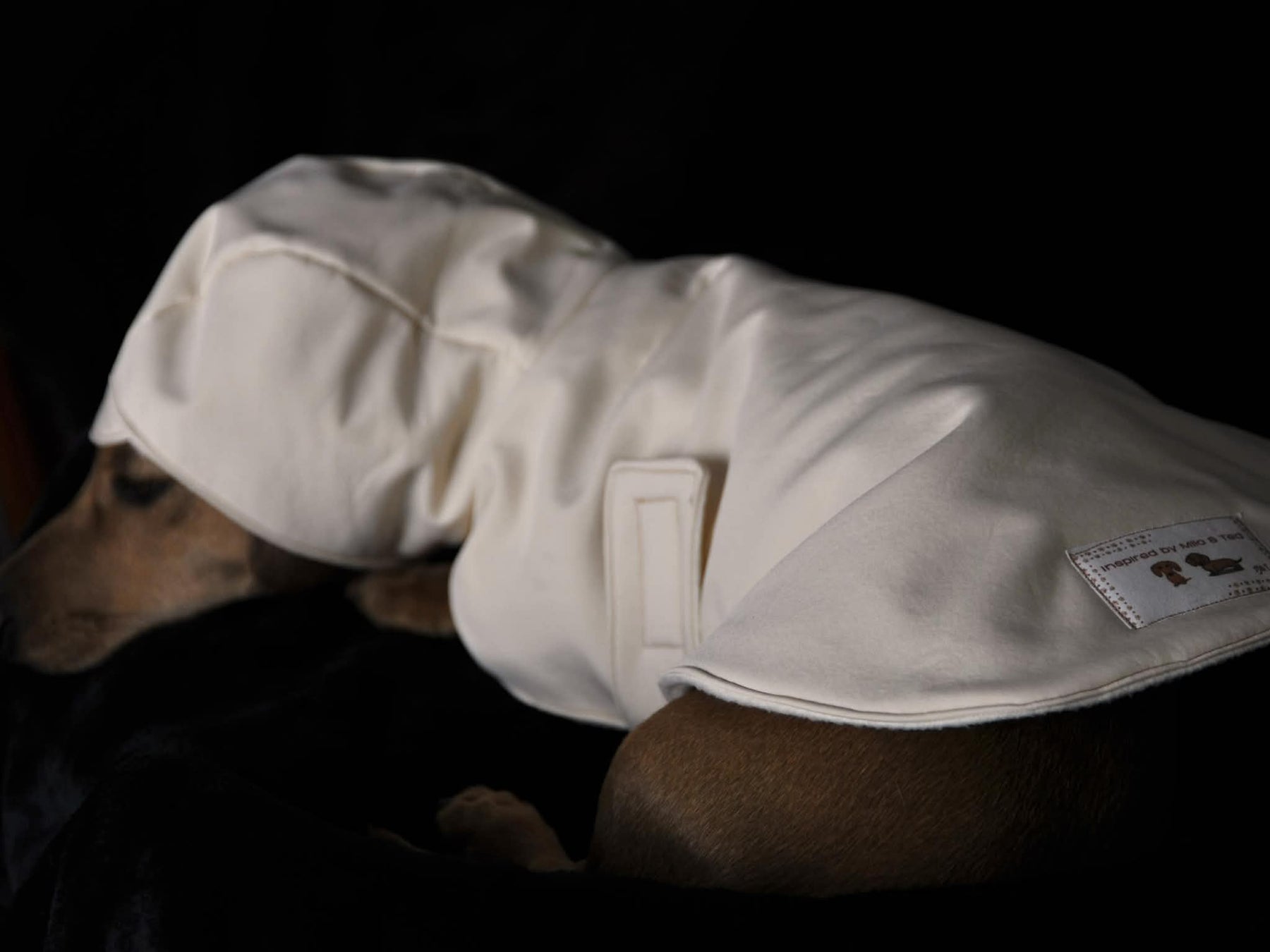 Dachshund dog raincoat for Puppy. Handmade Pet clothing/costume