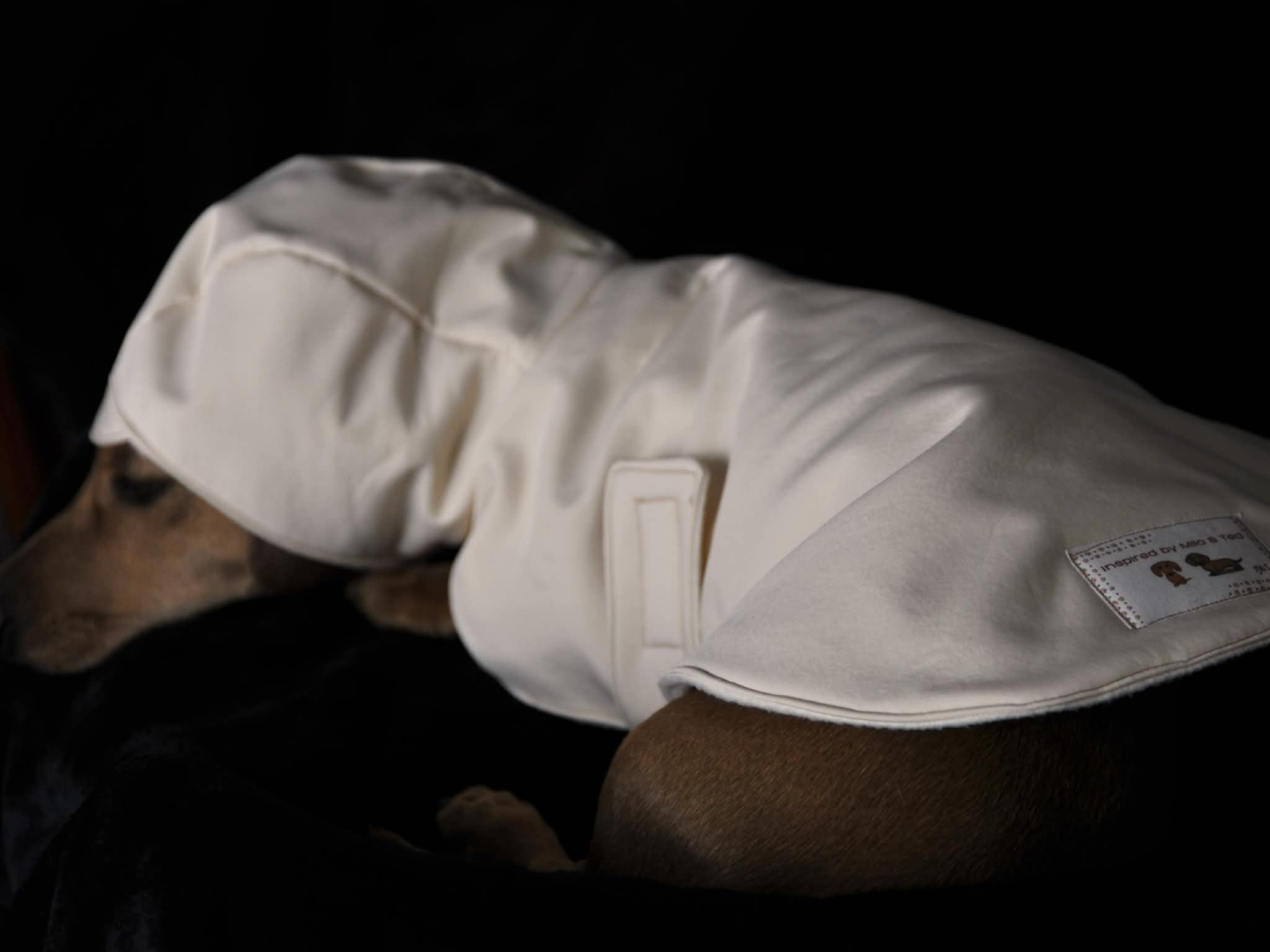 Dachshund dog raincoat for Puppy. Handmade Pet clothing/costume