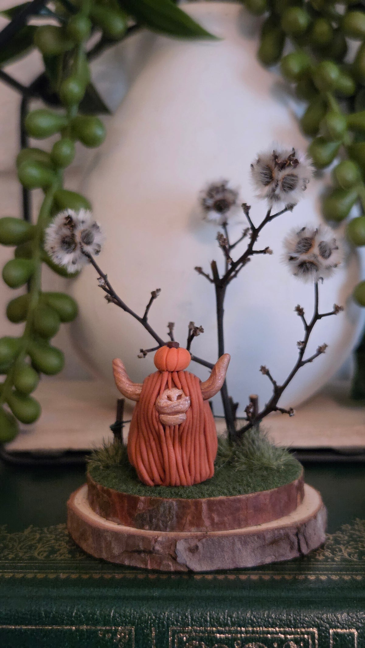 Highland Cow - Estelle