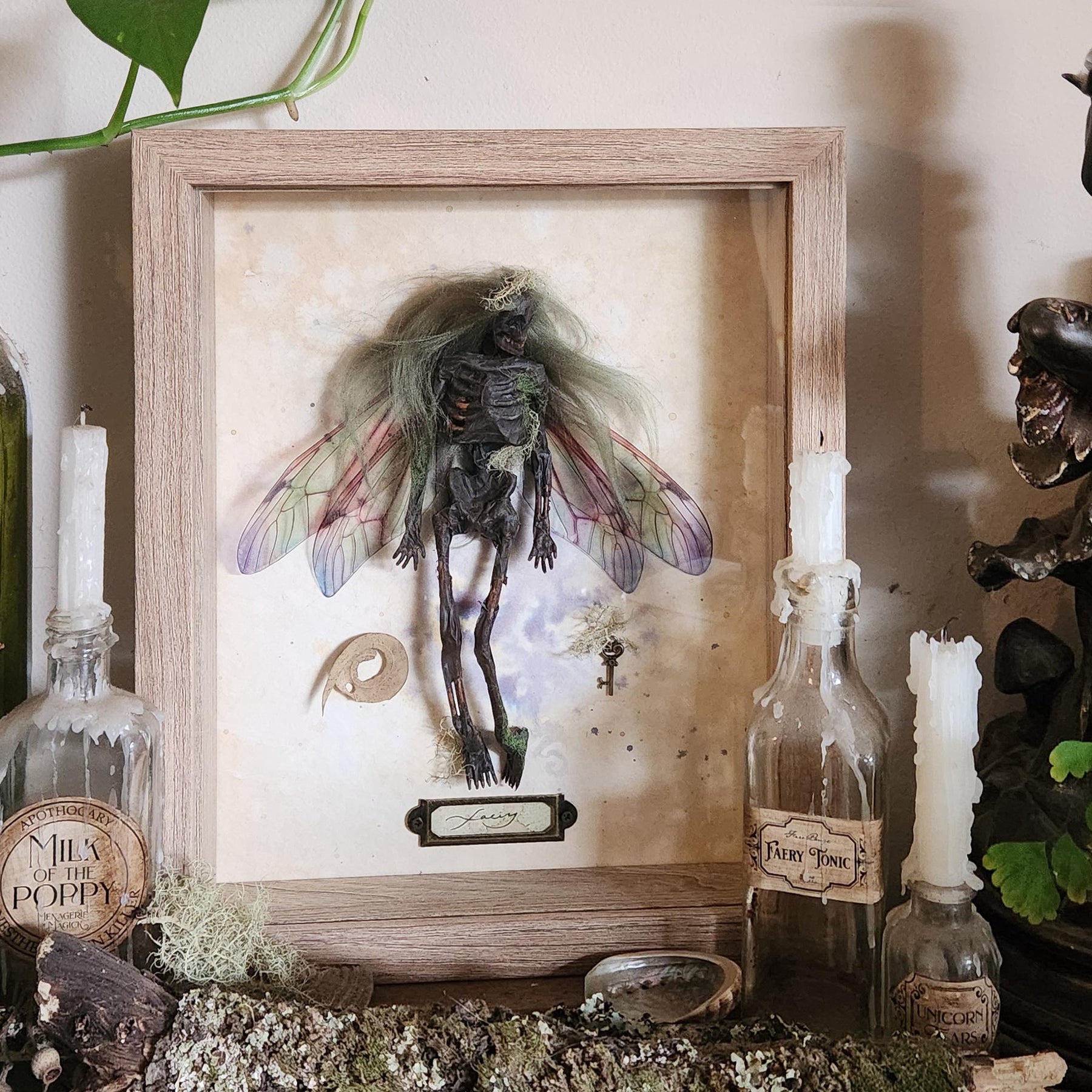Faery Specimen #147 Mummified Fairy Framed Curio
