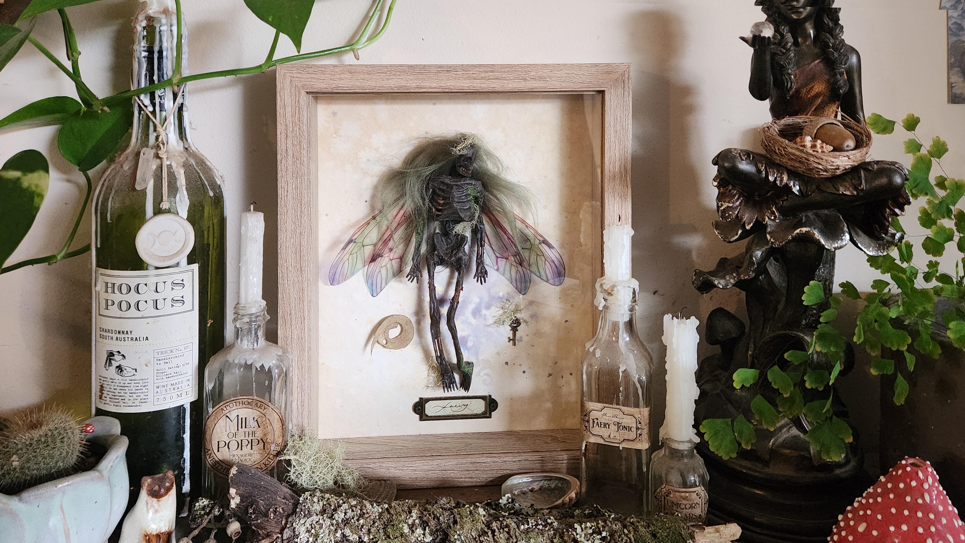 Faery Specimen #147 Mummified Fairy Framed Curio