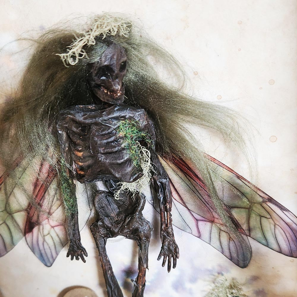 Faery Specimen #147 Mummified Fairy Framed Curio