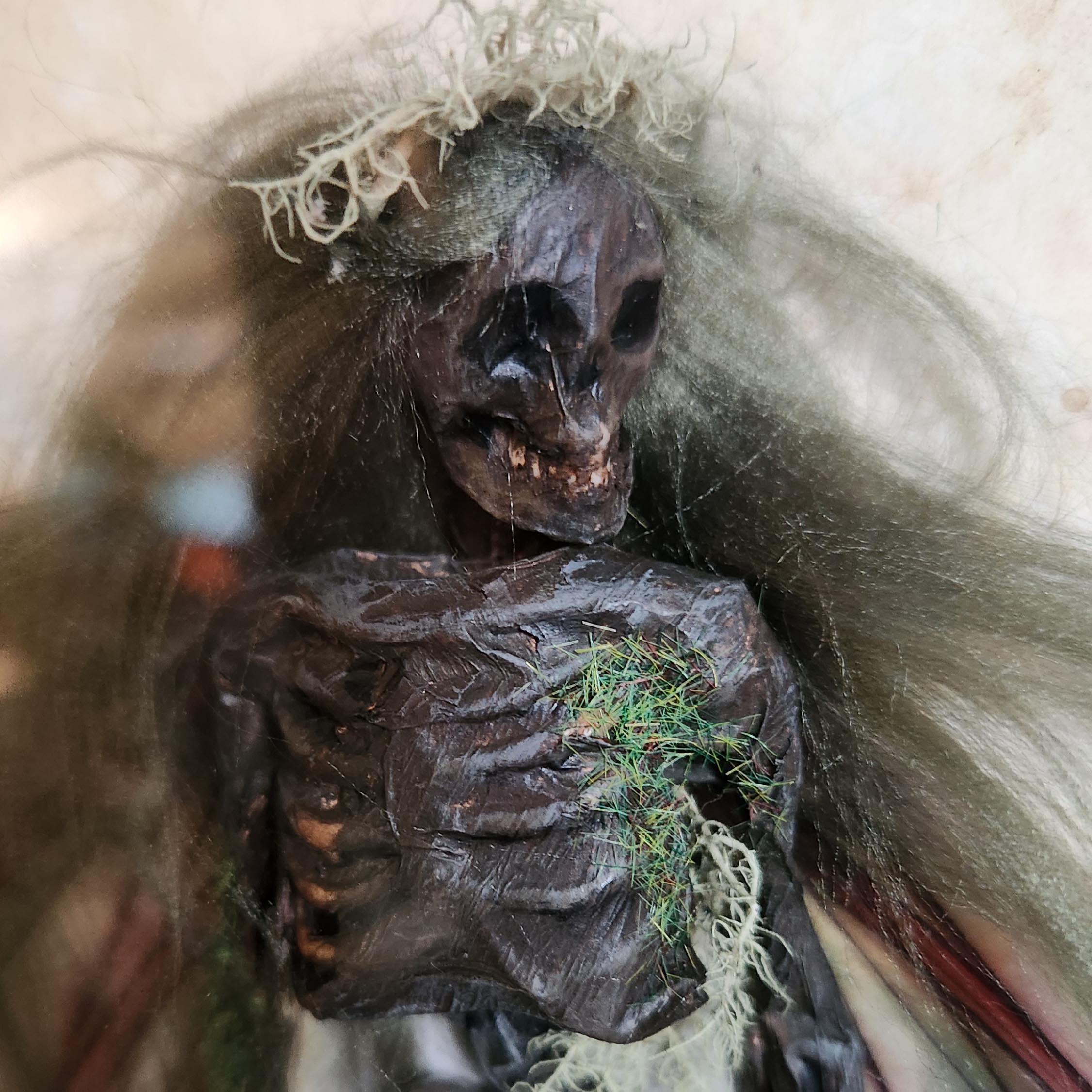 Faery Specimen #147 Mummified Fairy Framed Curio