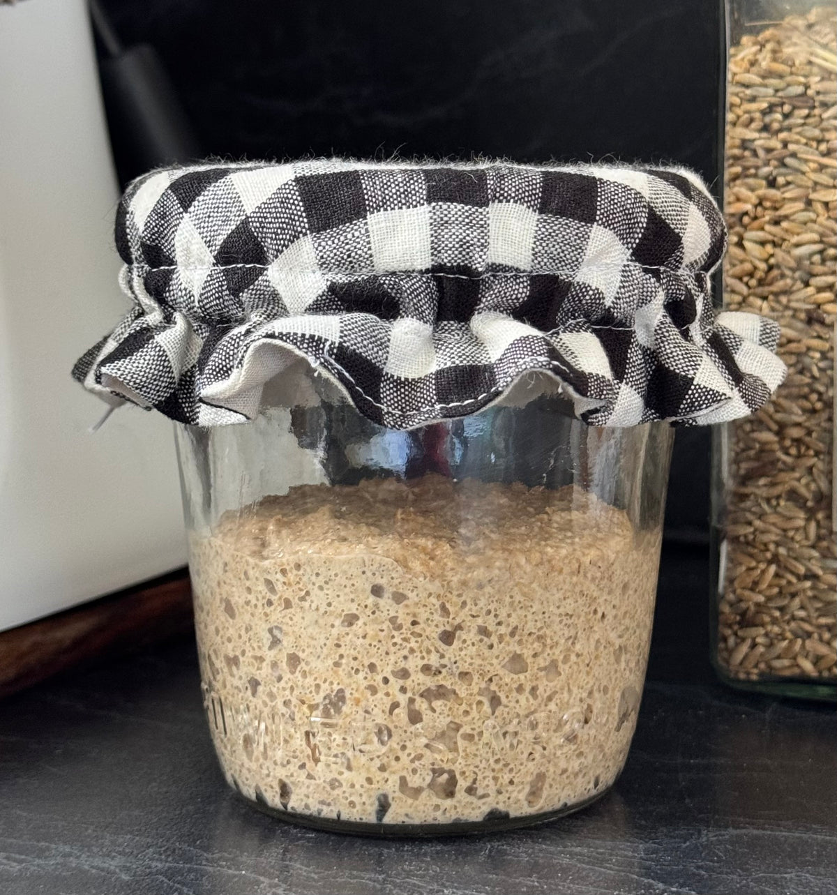 Black and White Linen Gingham Frilled Elastic Jar Cover (Fits Sourdough & Fermenting Jars)