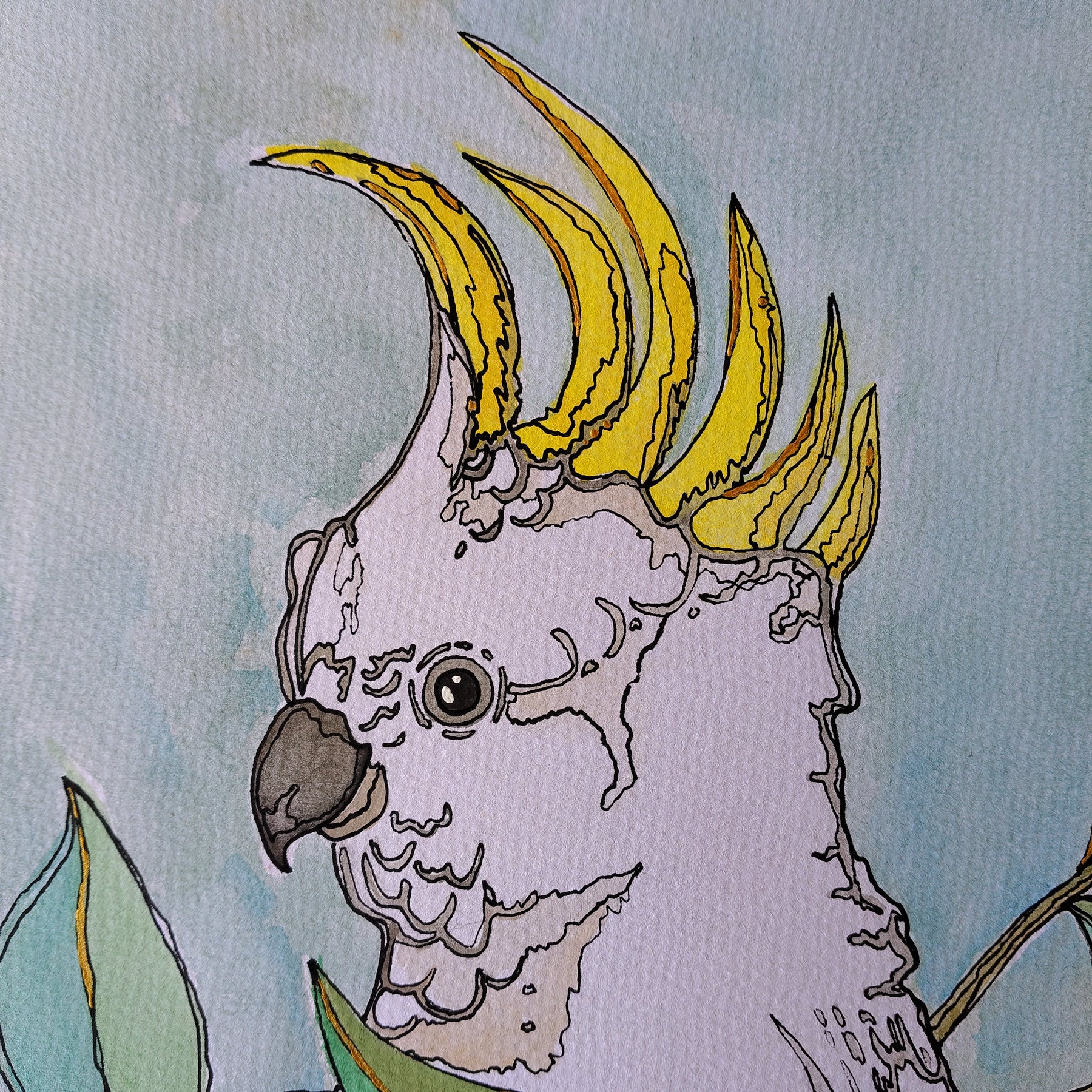 ORIGINAL ART (297mm x 403mm) - "Backyard Visitor" - Watercolour Art