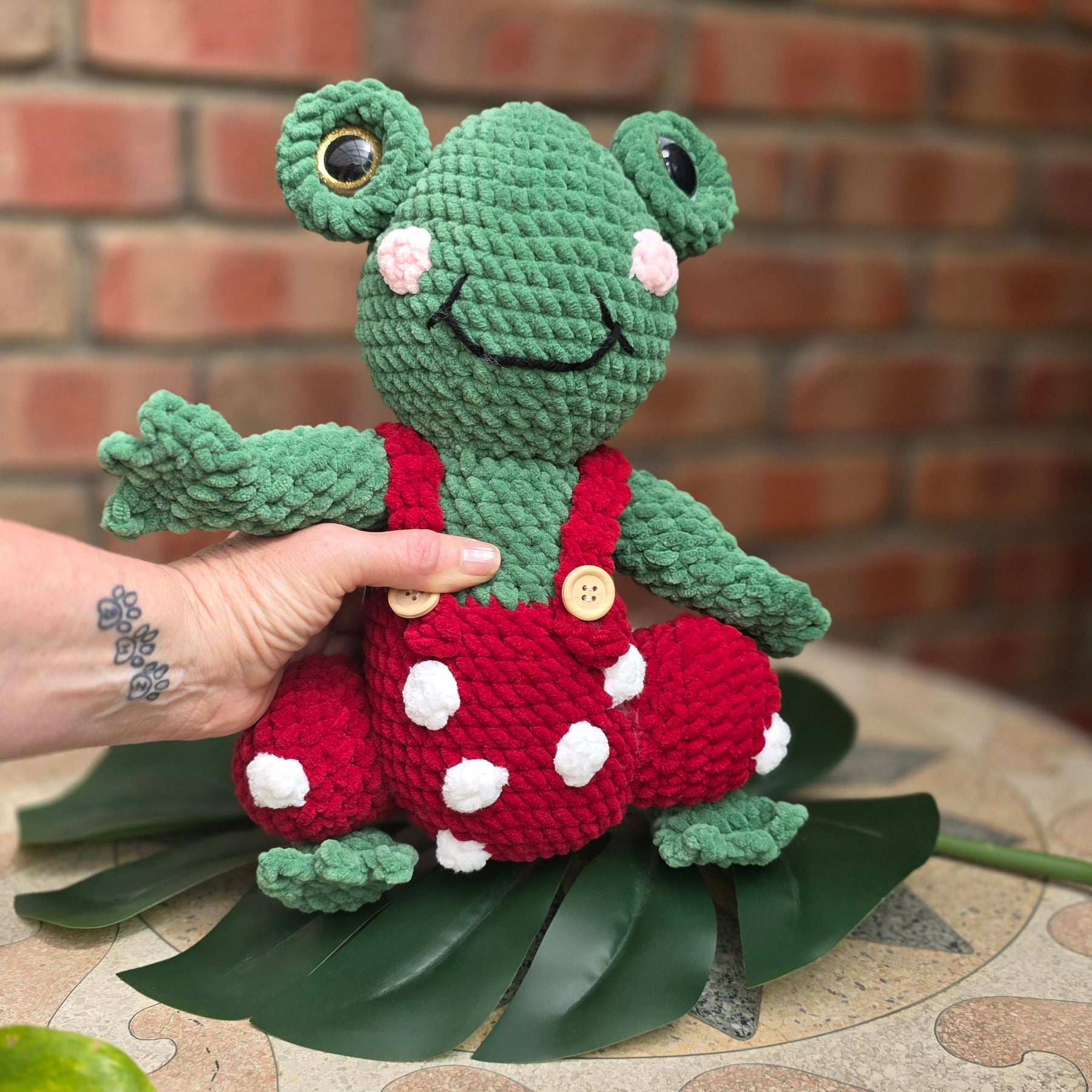 Freddie the Frog