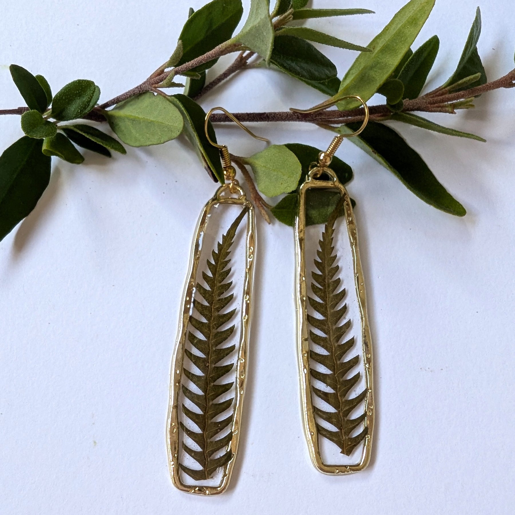 Elegant real fern botanical earrings