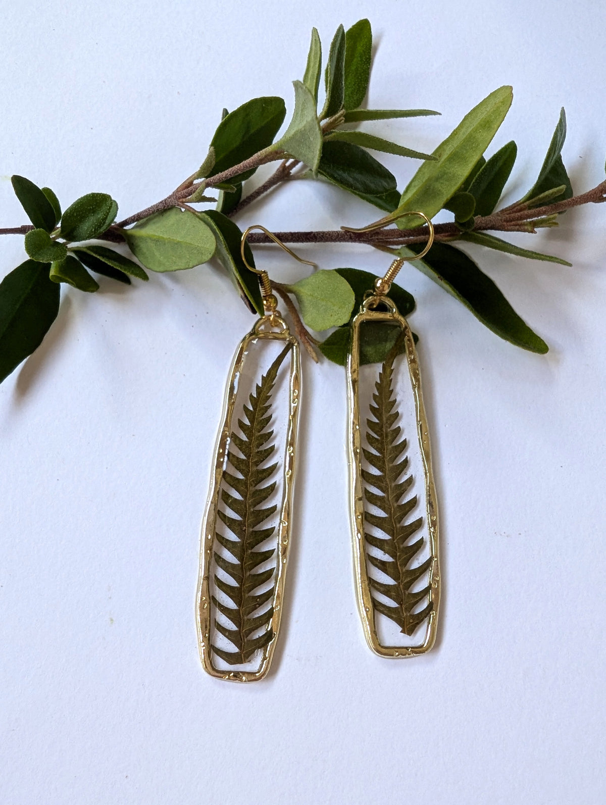 Elegant real fern botanical earrings
