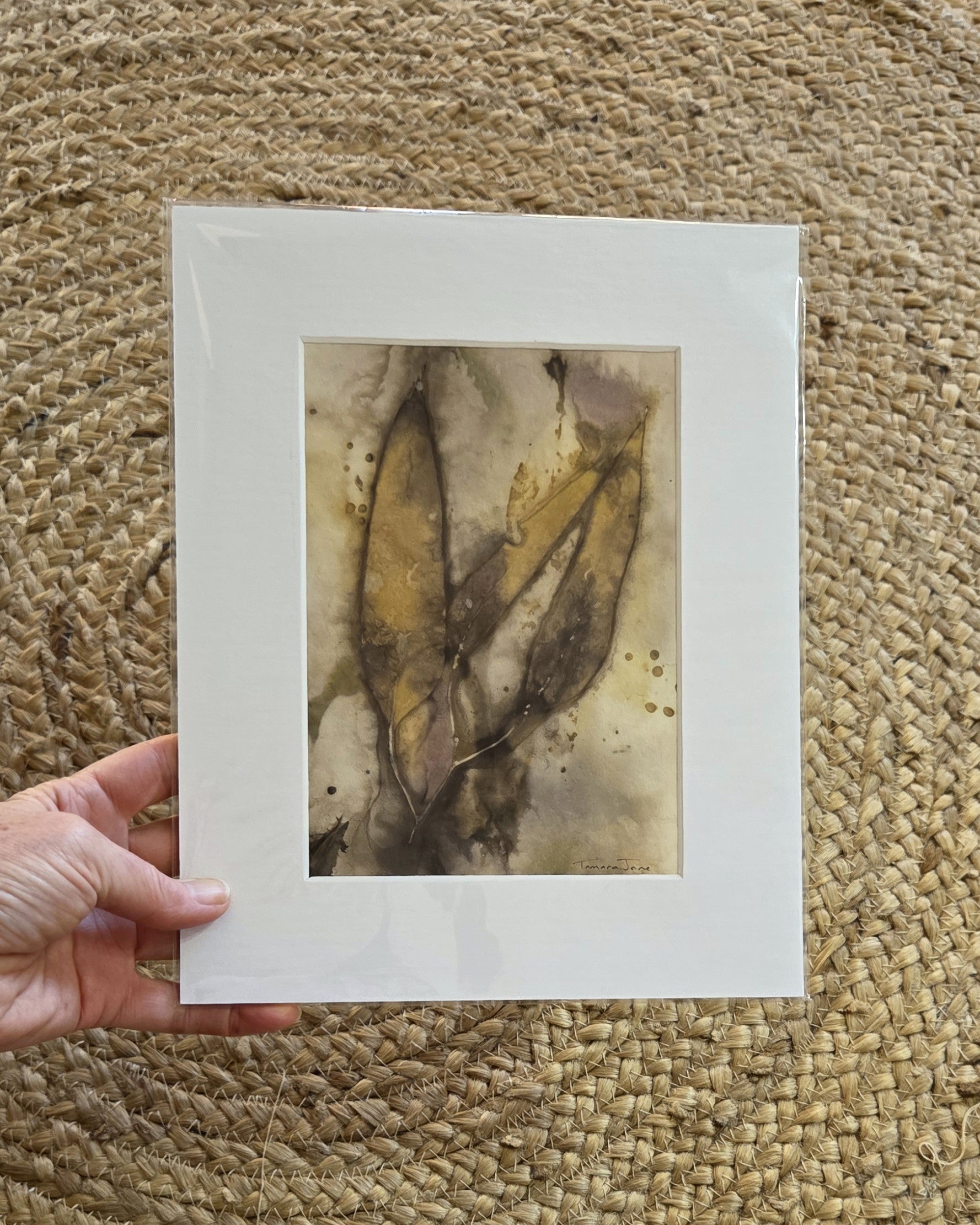 Ancient Gum - Original Artwork – Botanical Print & Watercolour