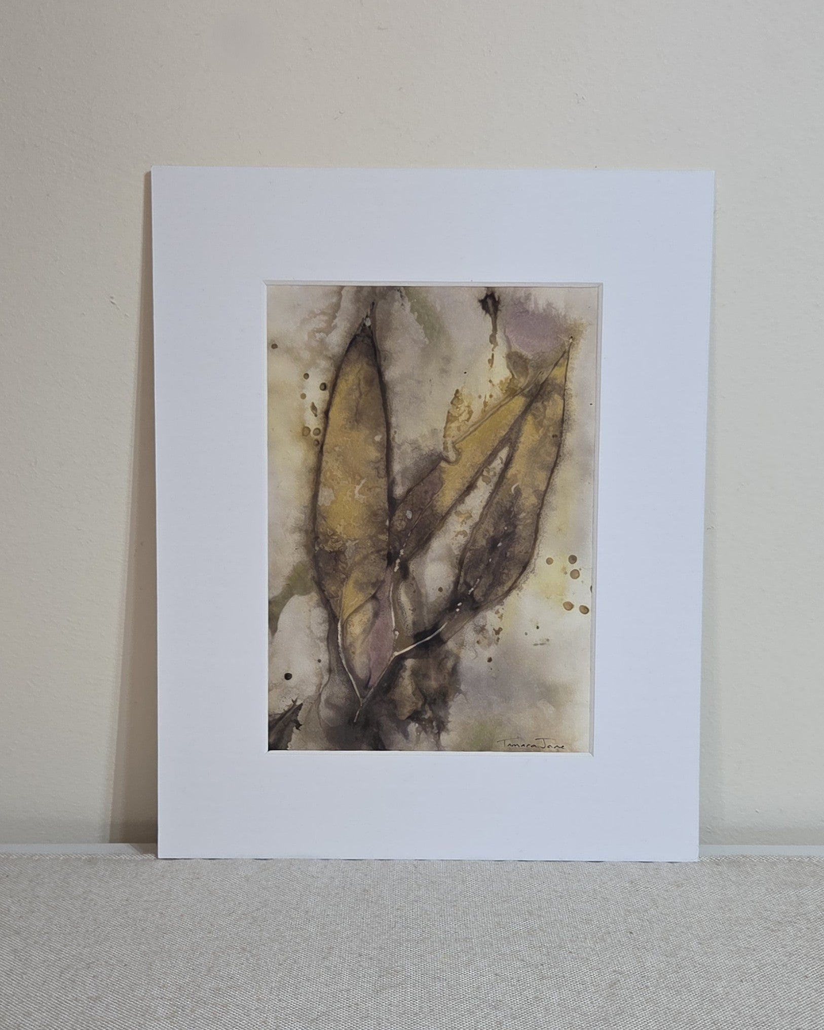 Ancient Gum - Original Artwork – Botanical Print & Watercolour
