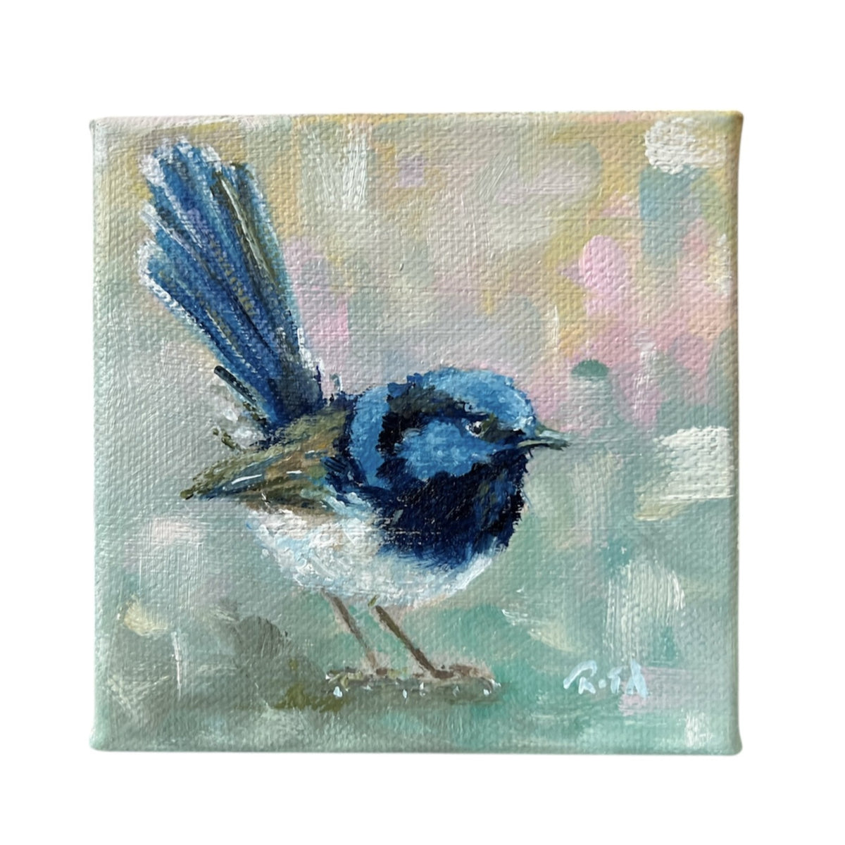 Mini Fairywren Oil Painting, Bird Portrait on Mini Canvas 4"x4"