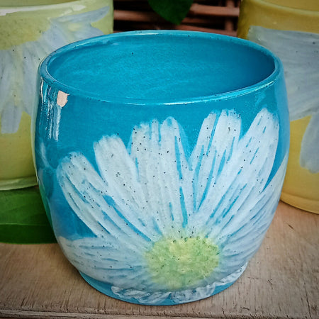 Sky blue Daisy Cup