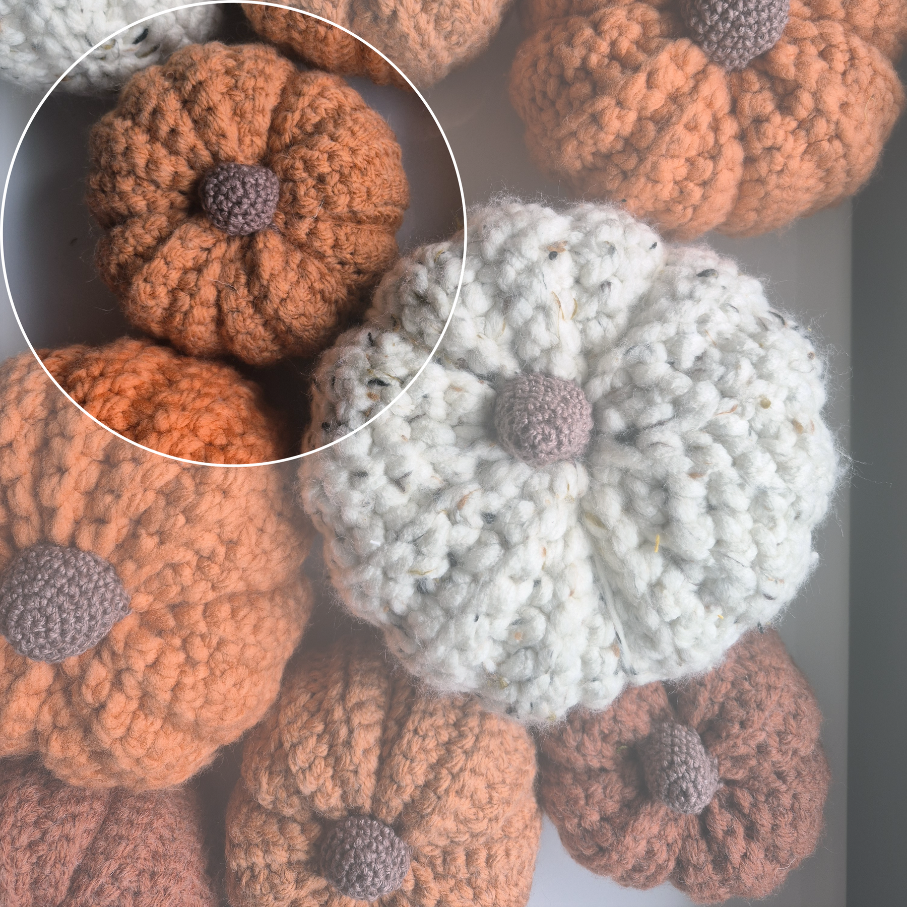PUMPKIN MAGIC | Terracotta