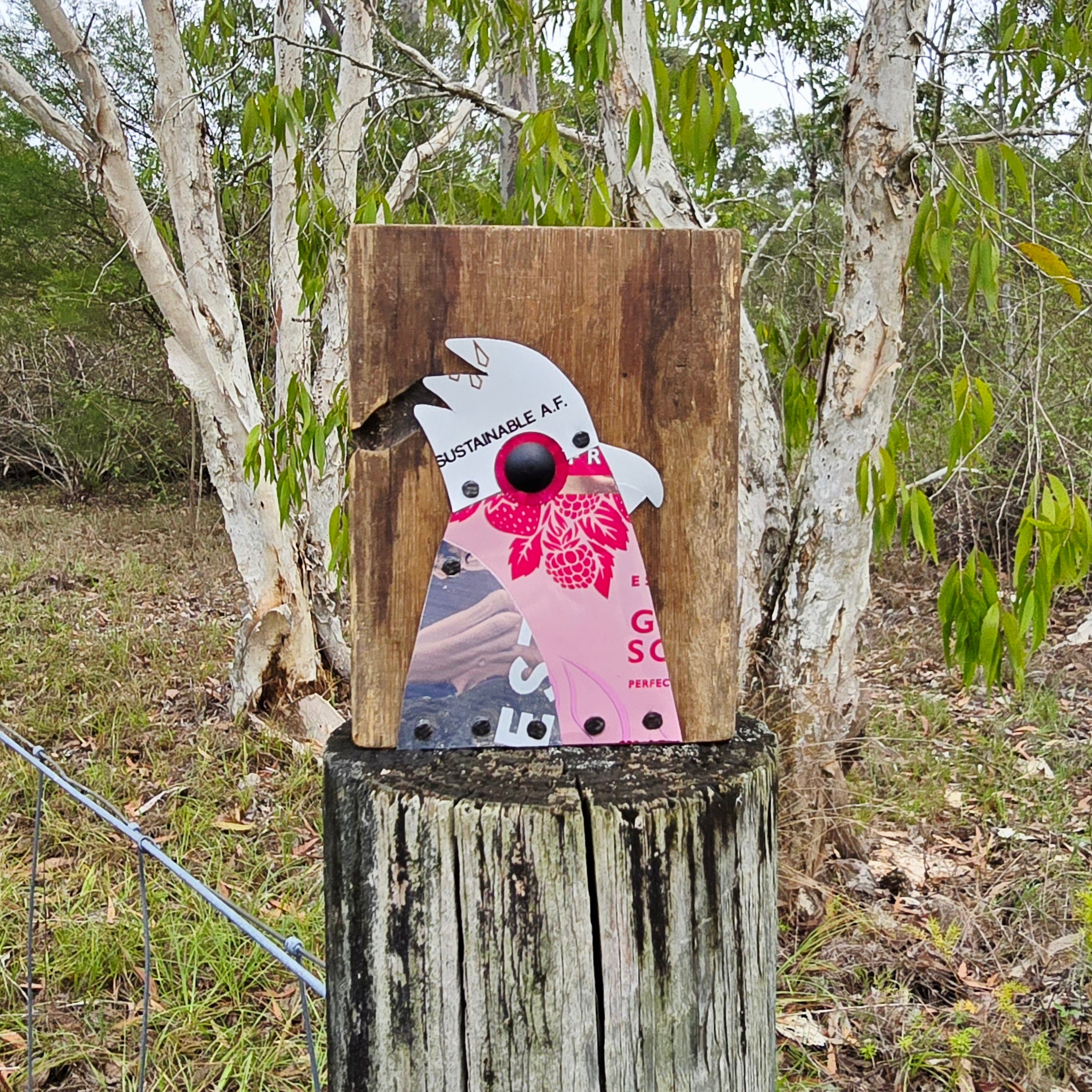 BIRD BLOCK - GALAH