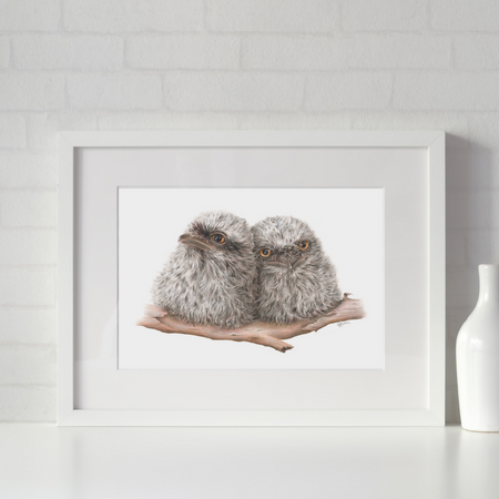 Wall Art Tawny Frogmouth Chicks Print