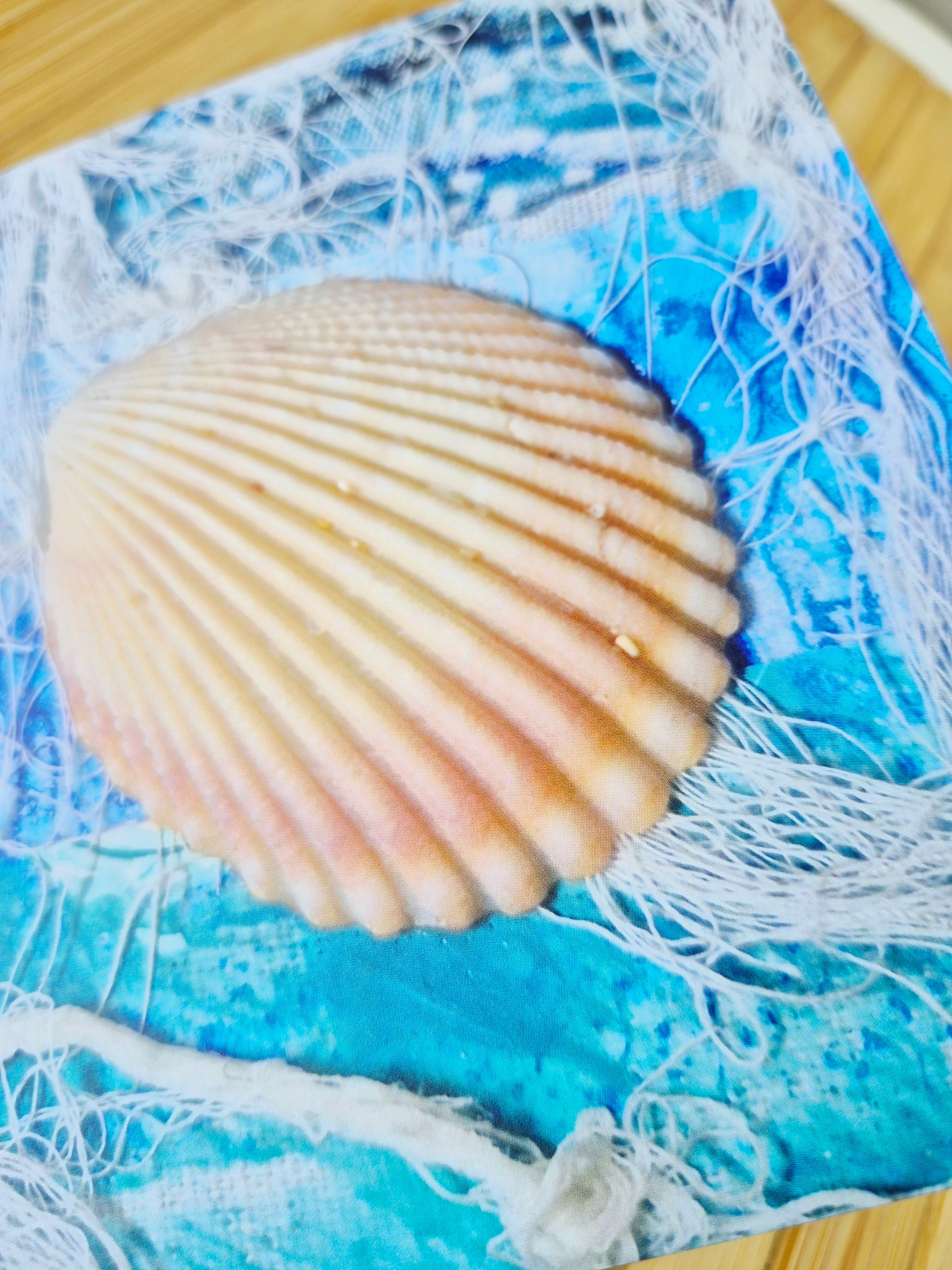 Blank Card  Sea Shells