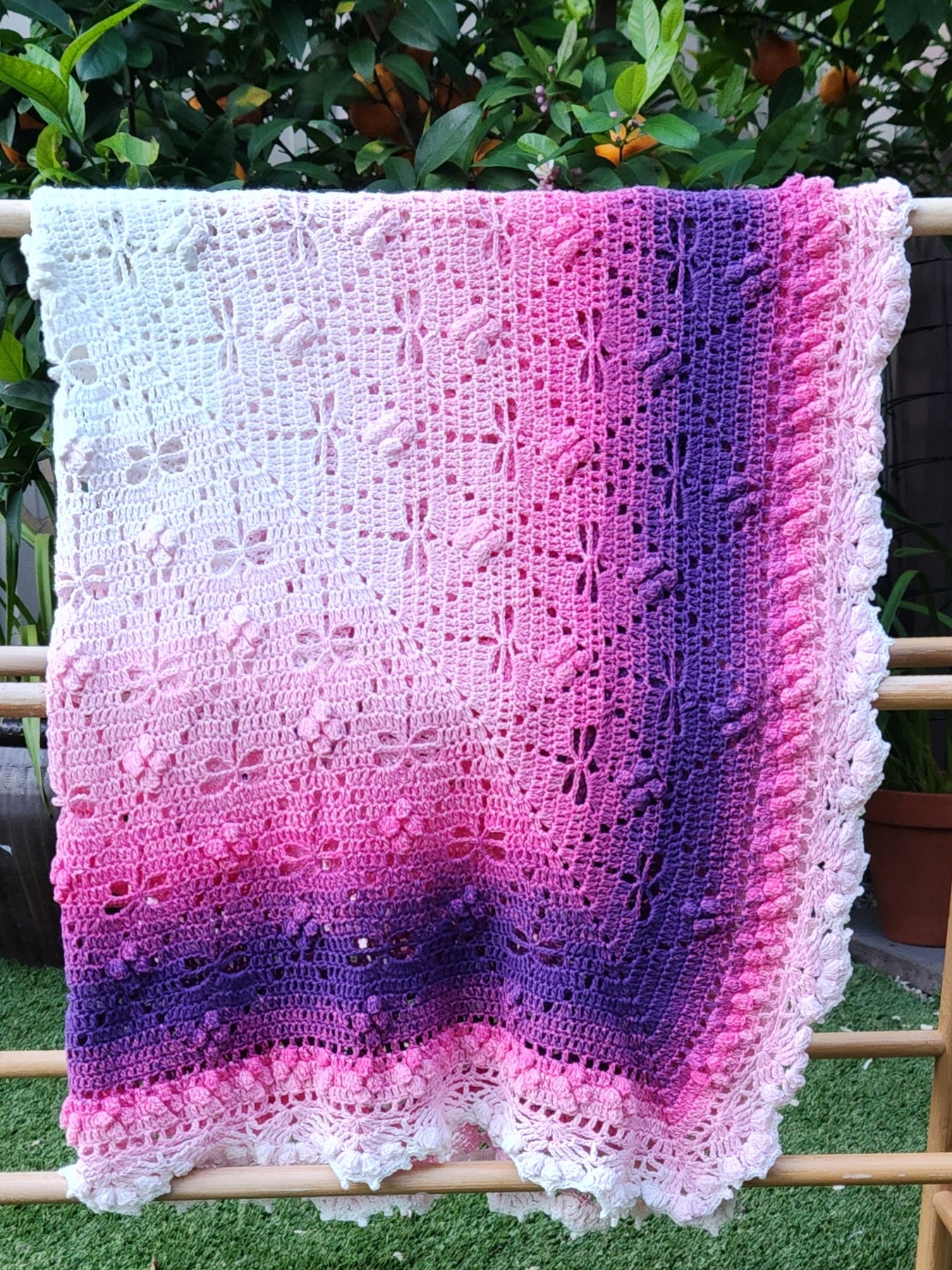 Crochet Pink Ombre Dragonfly Blanket
