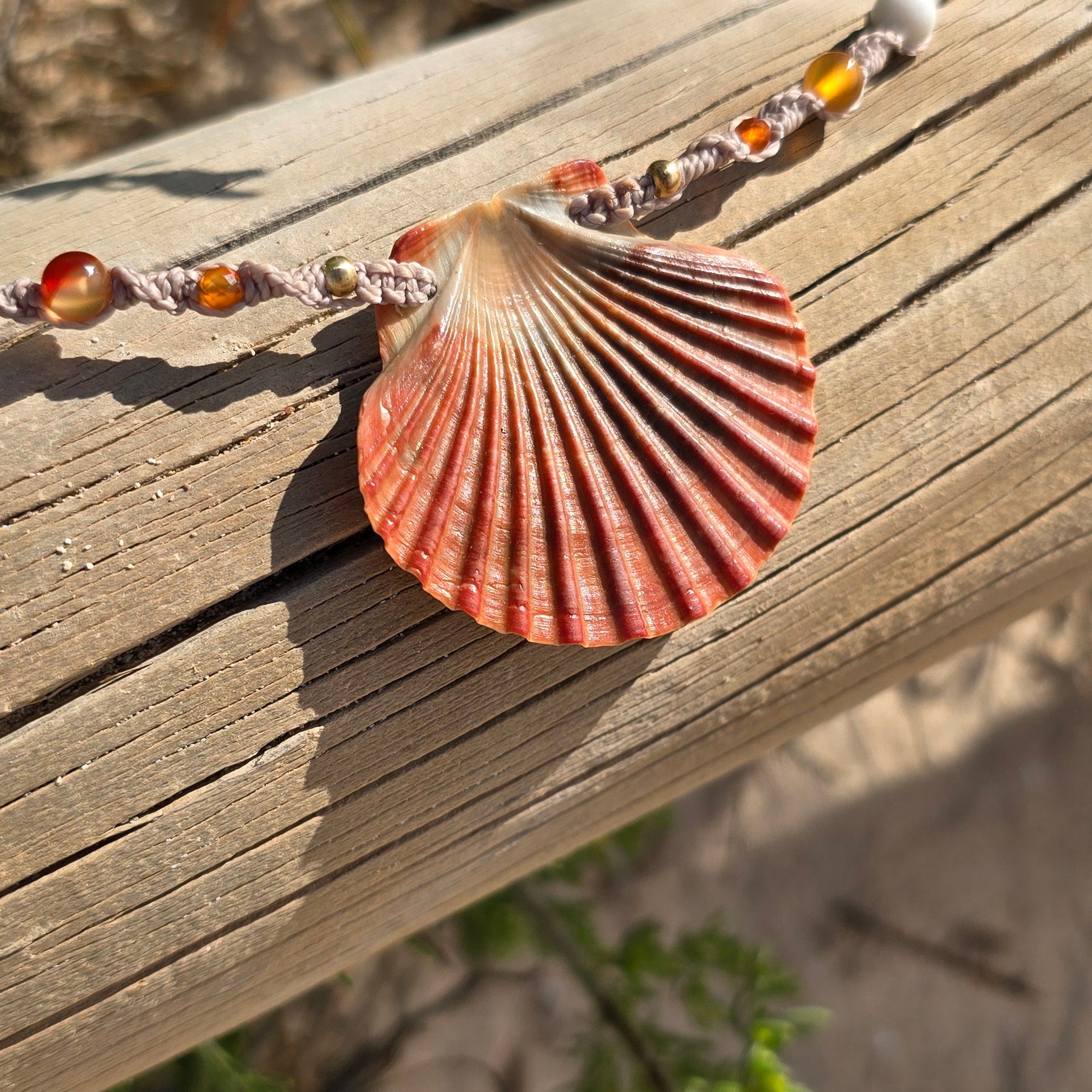 Scallop Shell Necklace with Carnelian & Shell Beads