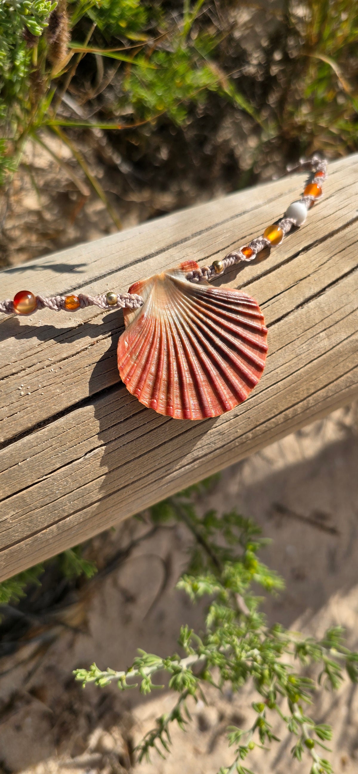 Scallop Shell Necklace with Carnelian & Shell Beads