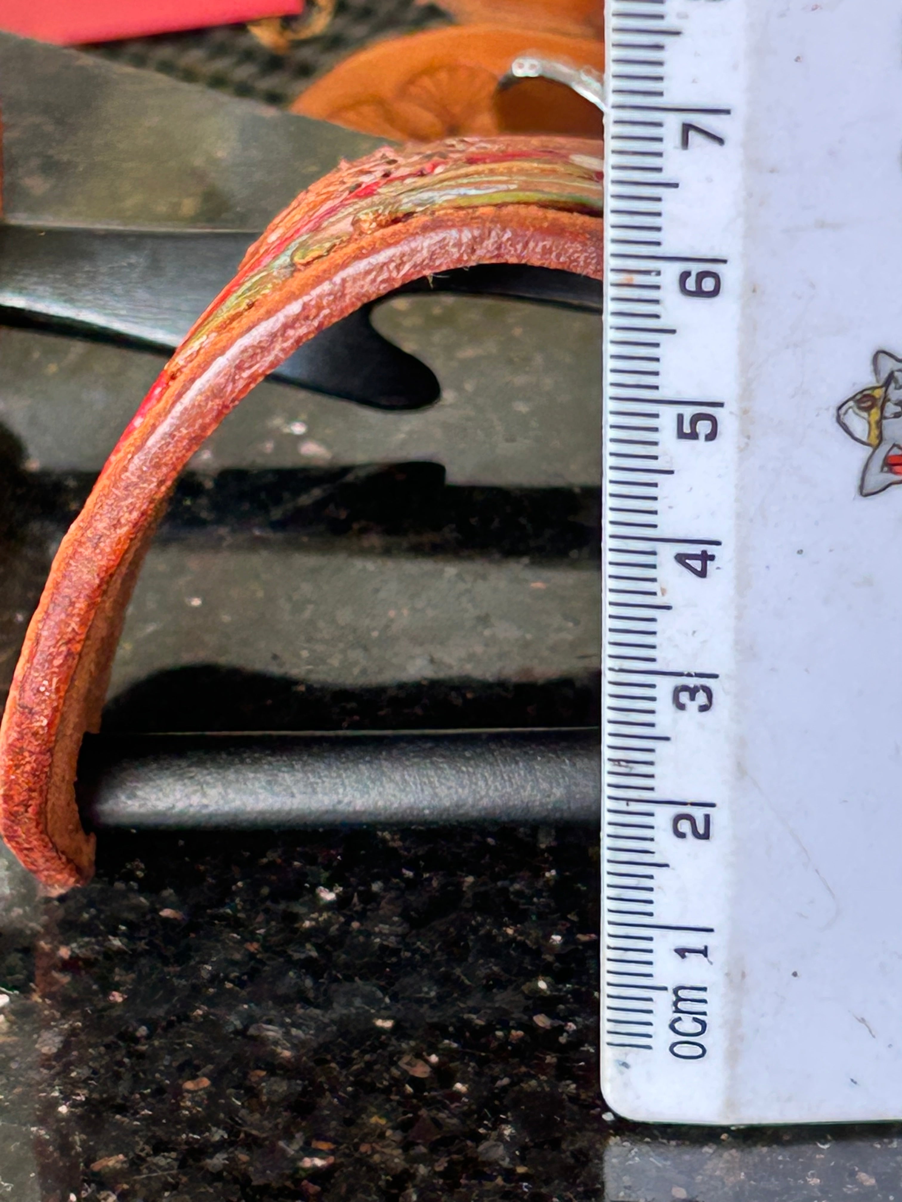 Handcrafted Leather Frog Hair Barrette