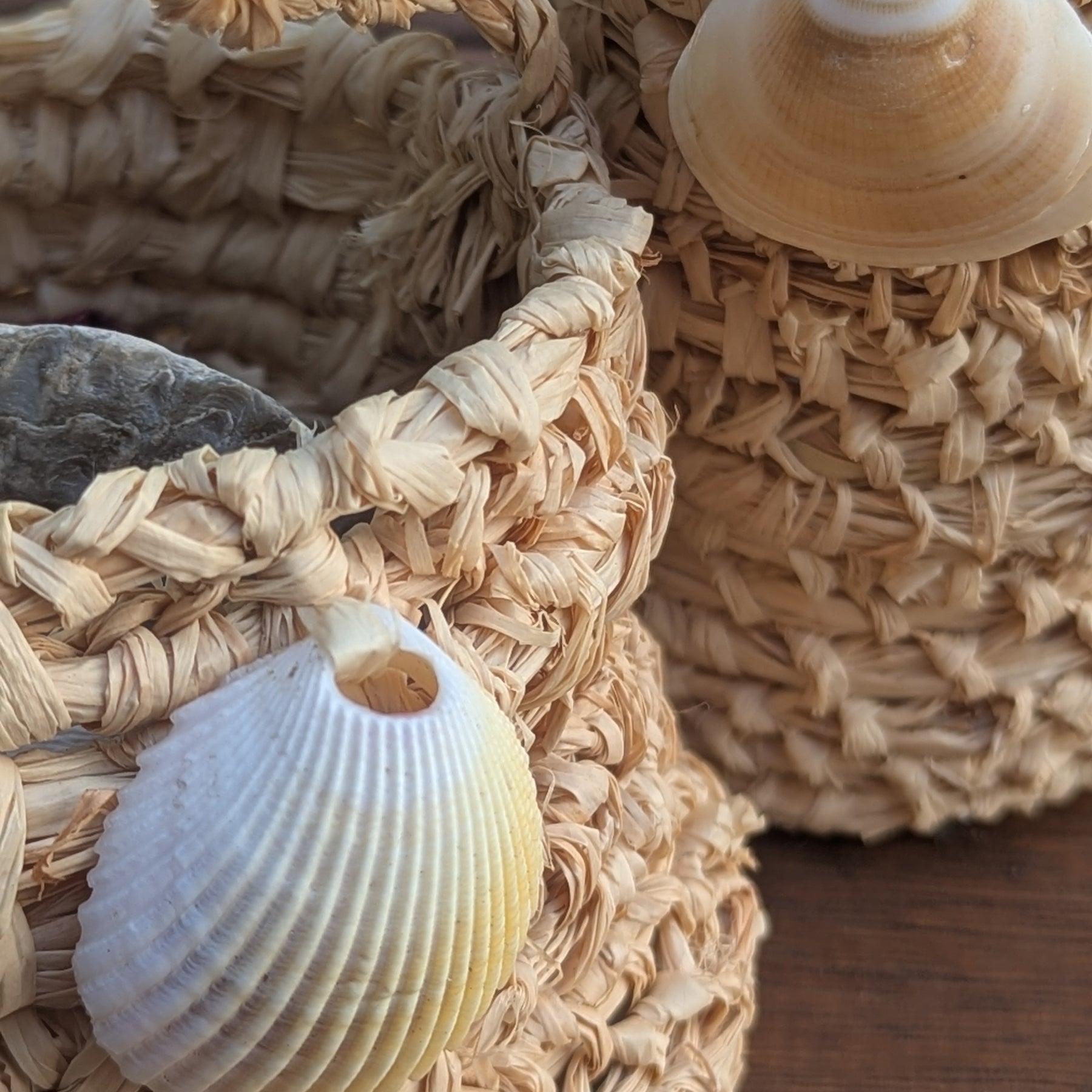 Basket Sea Shell Natural Raffia Dilly Bags