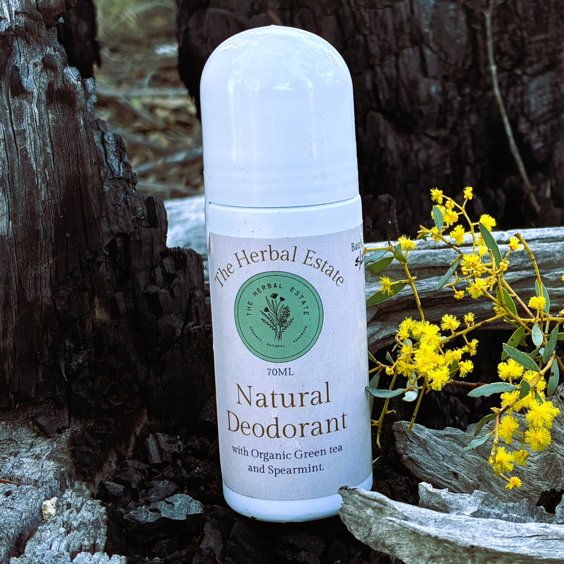 Natural Deodorant That Works | Aluminium Free Odour Control | All Day Freshness | Sensitive Skin Friendly | Non Toxic Deodorant 70ml