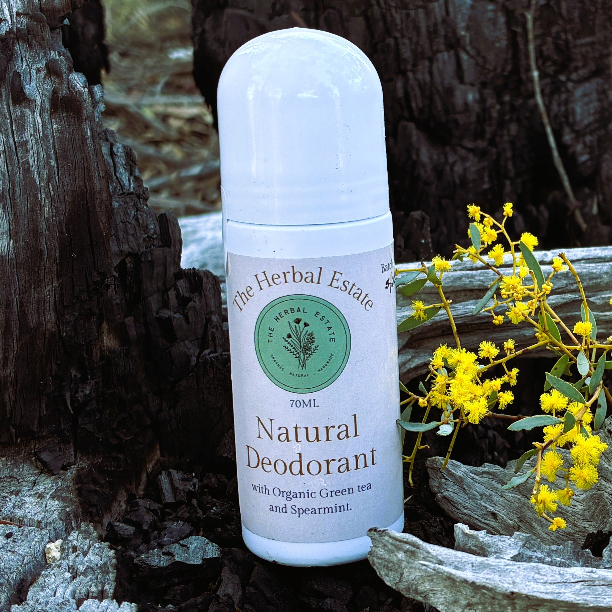 Natural Deodorant That Works | Aluminium Free Odour Control | All Day Freshness | Sensitive Skin Friendly | Non Toxic Deodorant 70ml