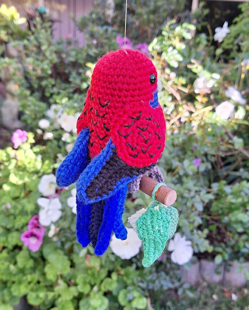 rosella tail feathers