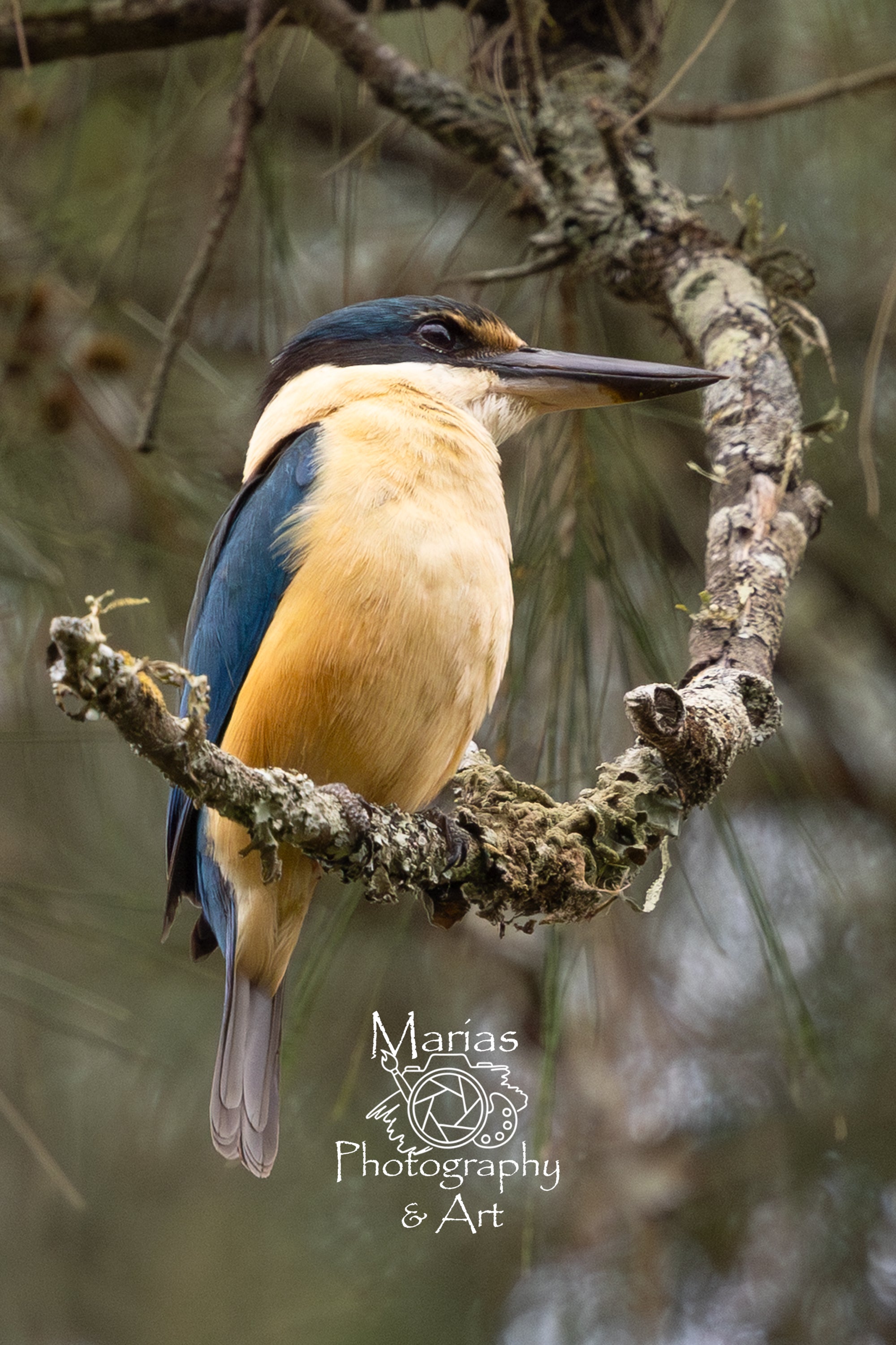 Photographic print | Wall Art | Sacred beauty