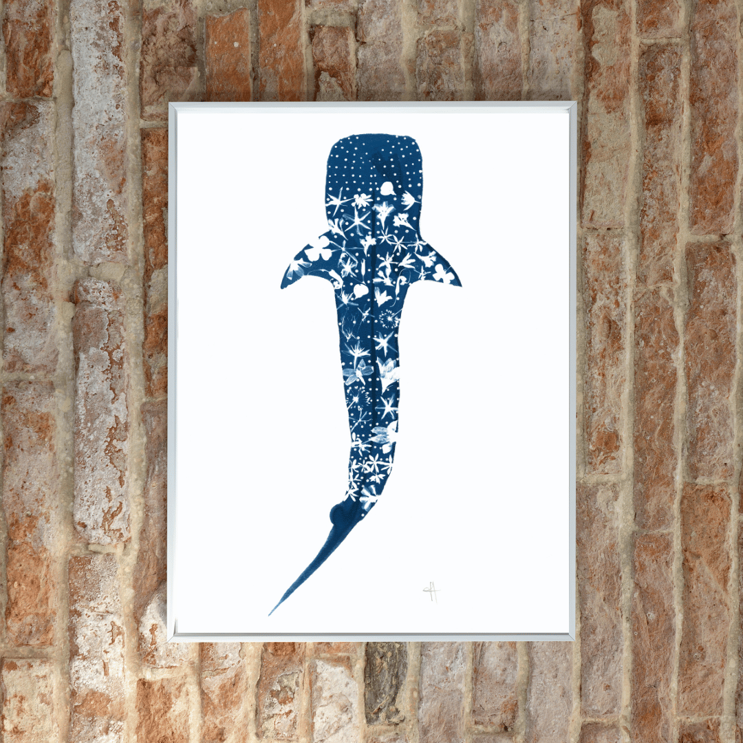 Whale Shark Art Print from Native Flowers