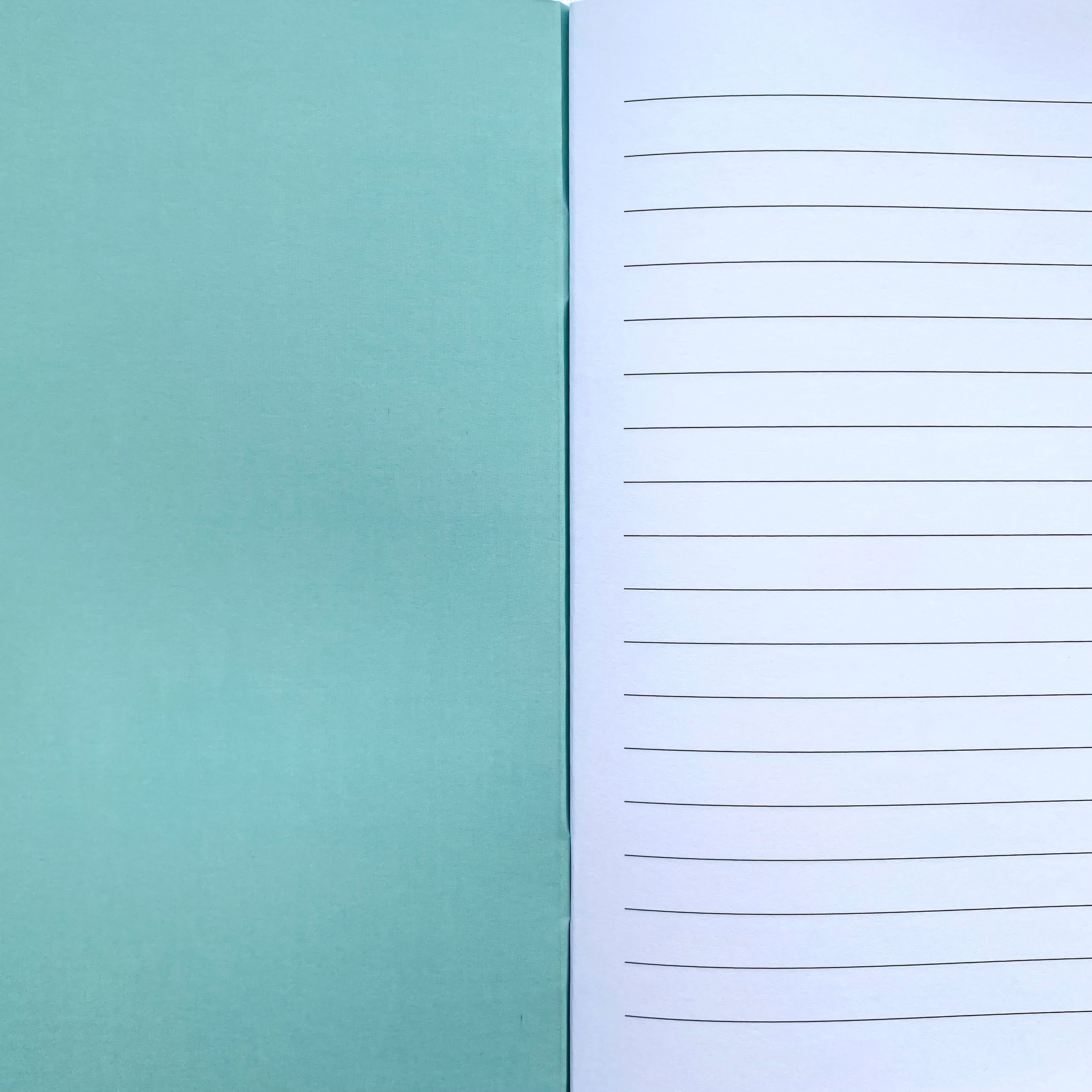 Bugs and Butterflies Recycled A5 Lined Notebook