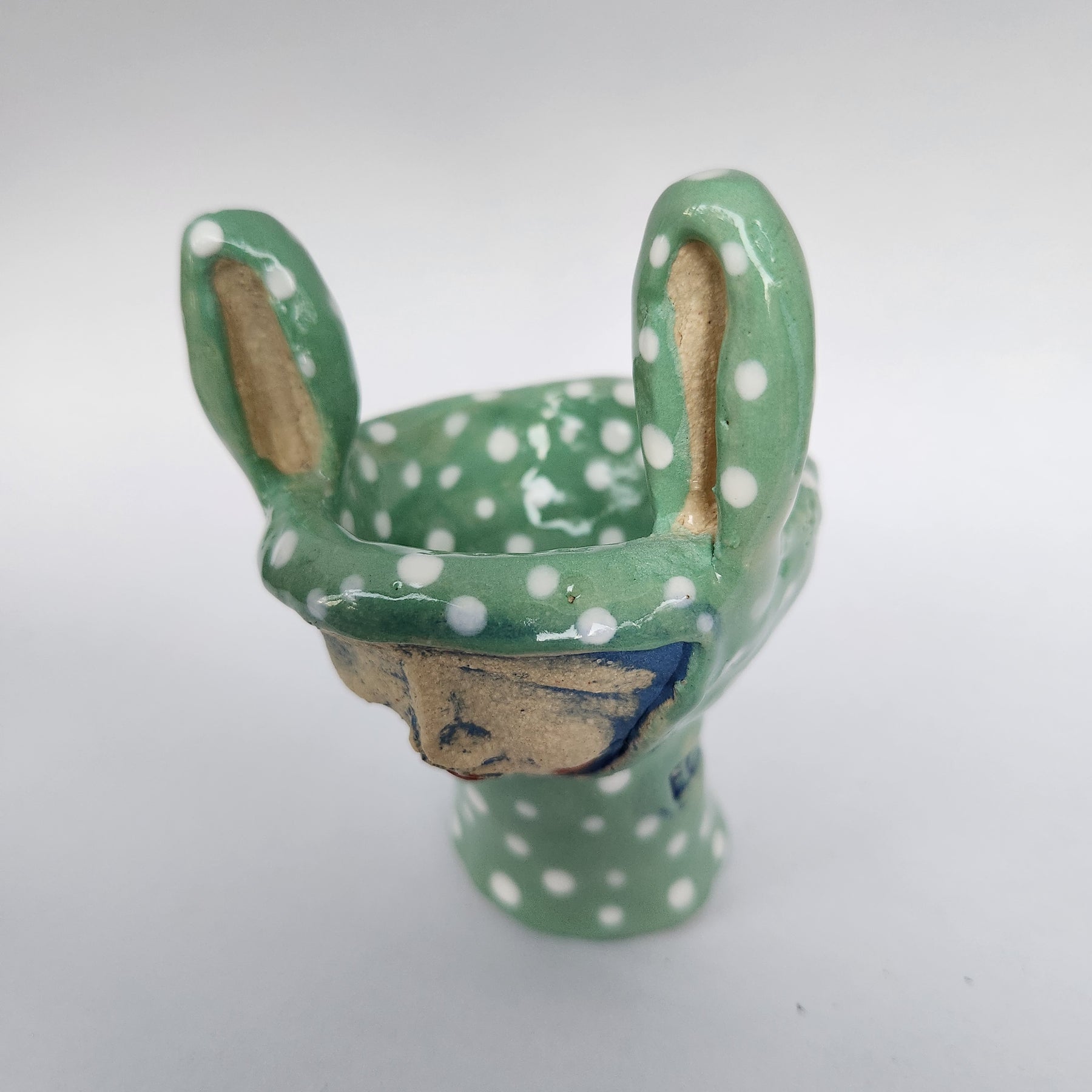 Bunny girl, treasure keeper