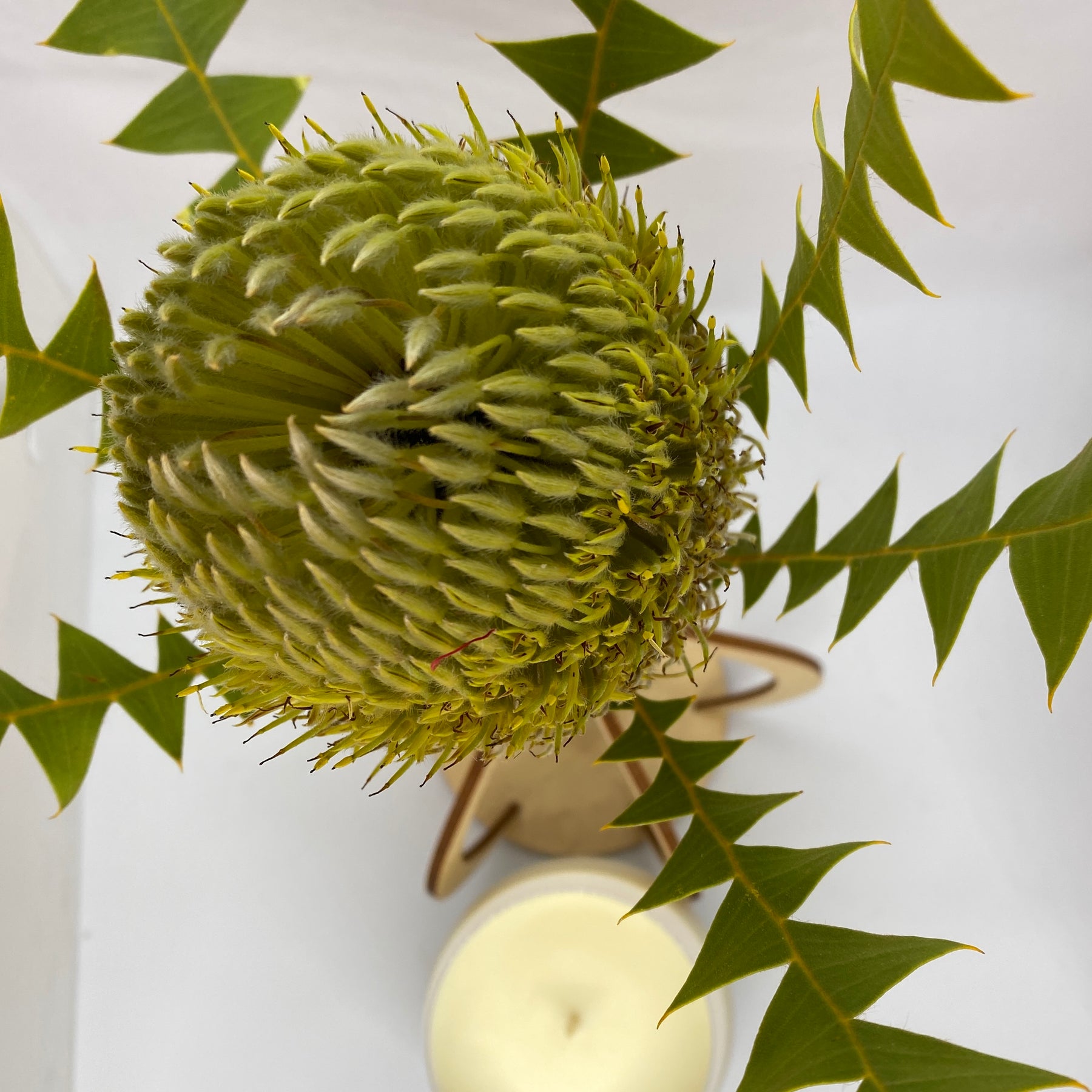 White Wave Glass - Japanese Honeysuckle Fragrance