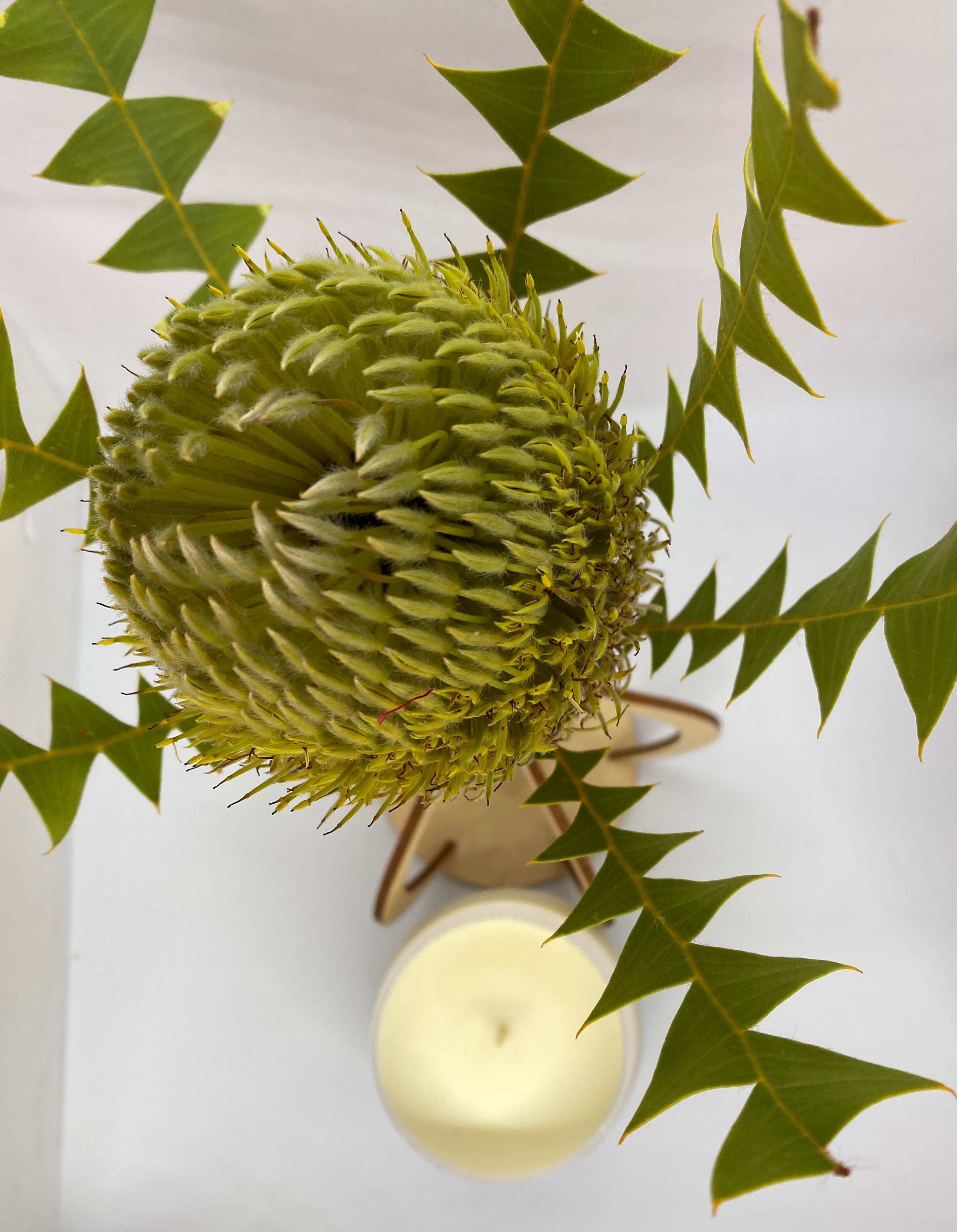 White Wave Glass - Japanese Honeysuckle Fragrance