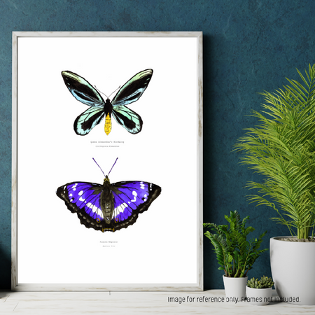 Watercolour Art Print - The Fauna Series - 'Cool Hued Butterfly Duo'