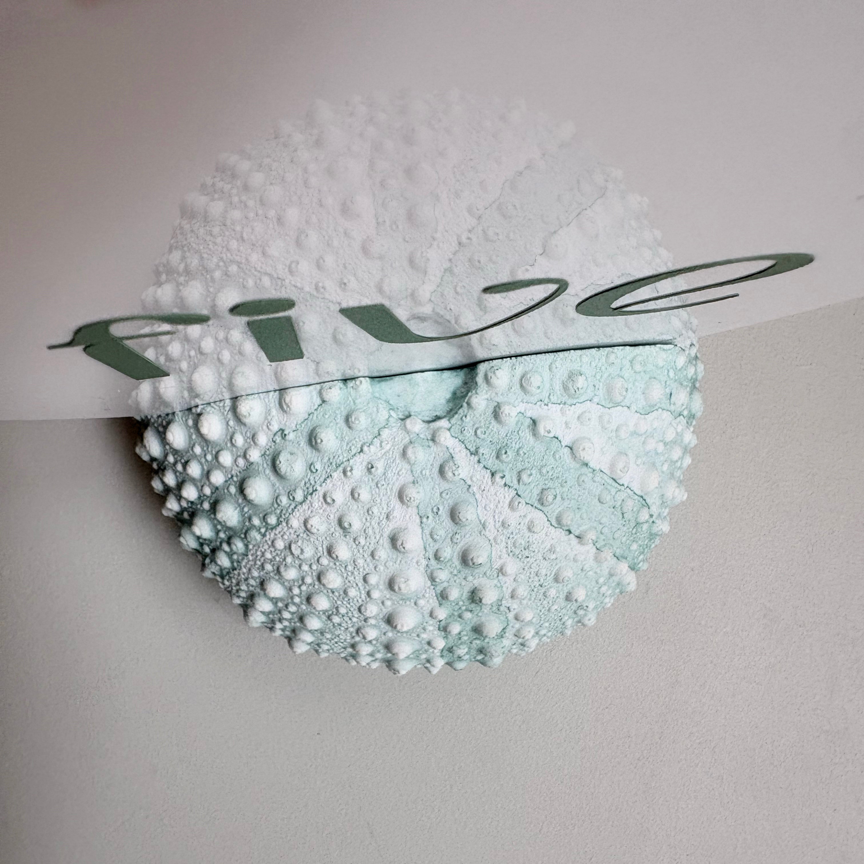 Green Sea Urchin table number & Photo Holder — Eco Resin