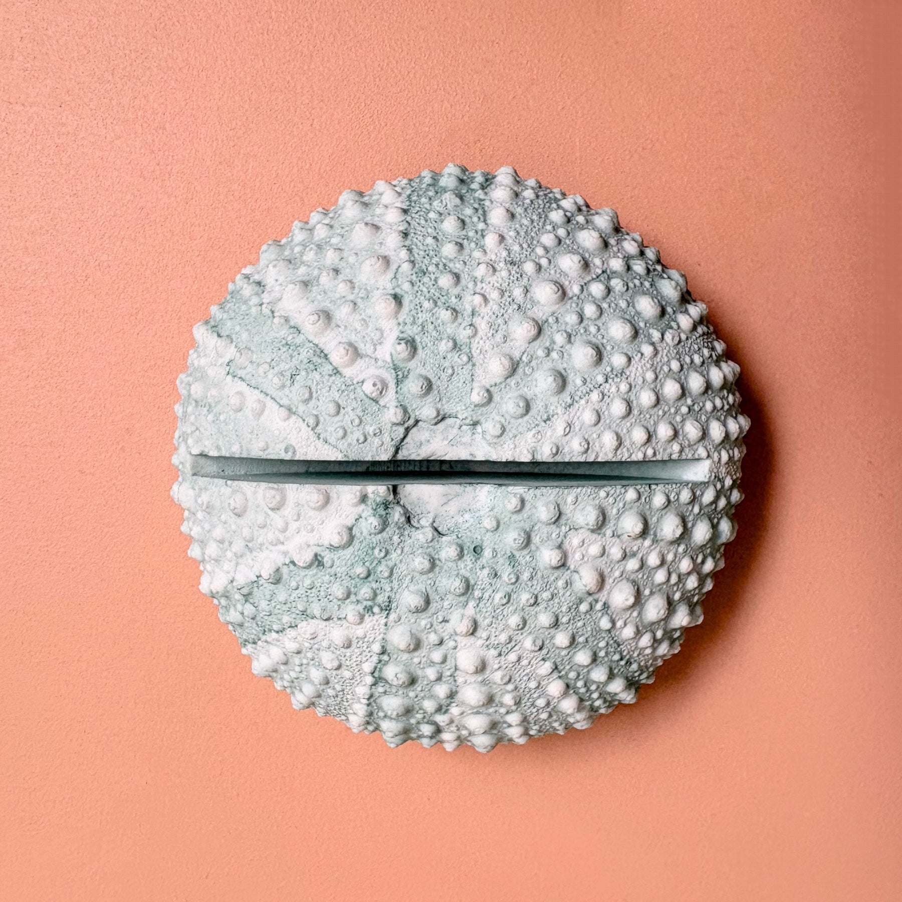Green Sea Urchin table number & Photo Holder — Eco Resin