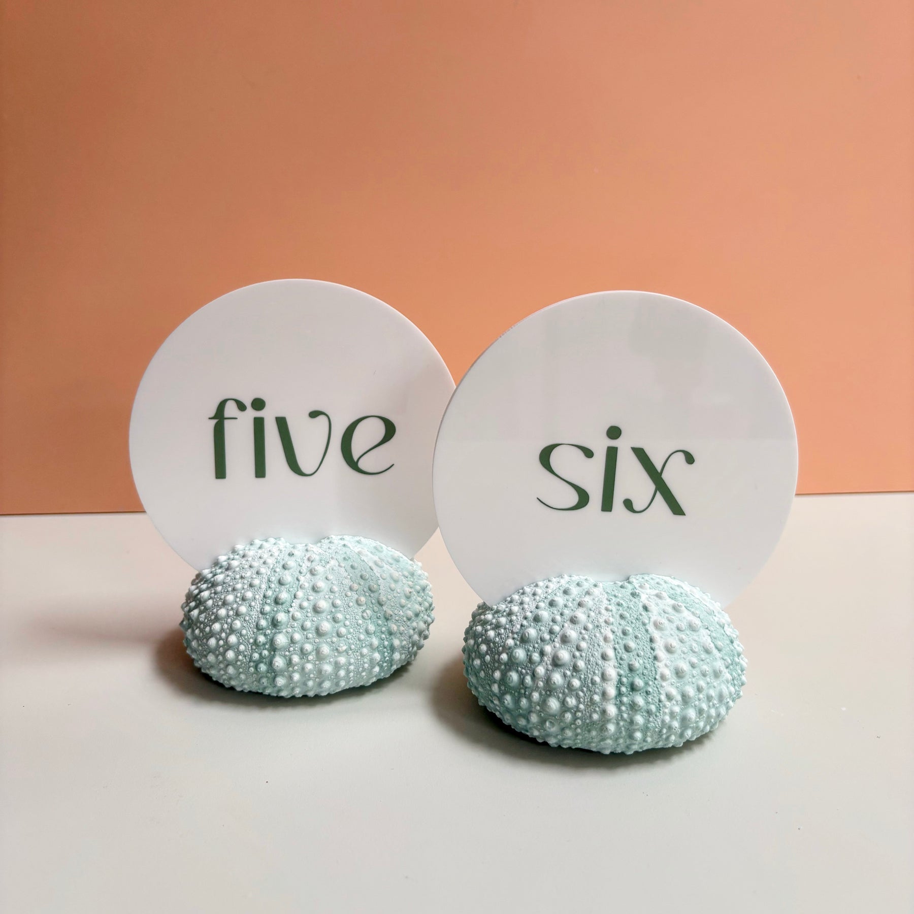Green Sea Urchin table number & Photo Holder — Eco Resin