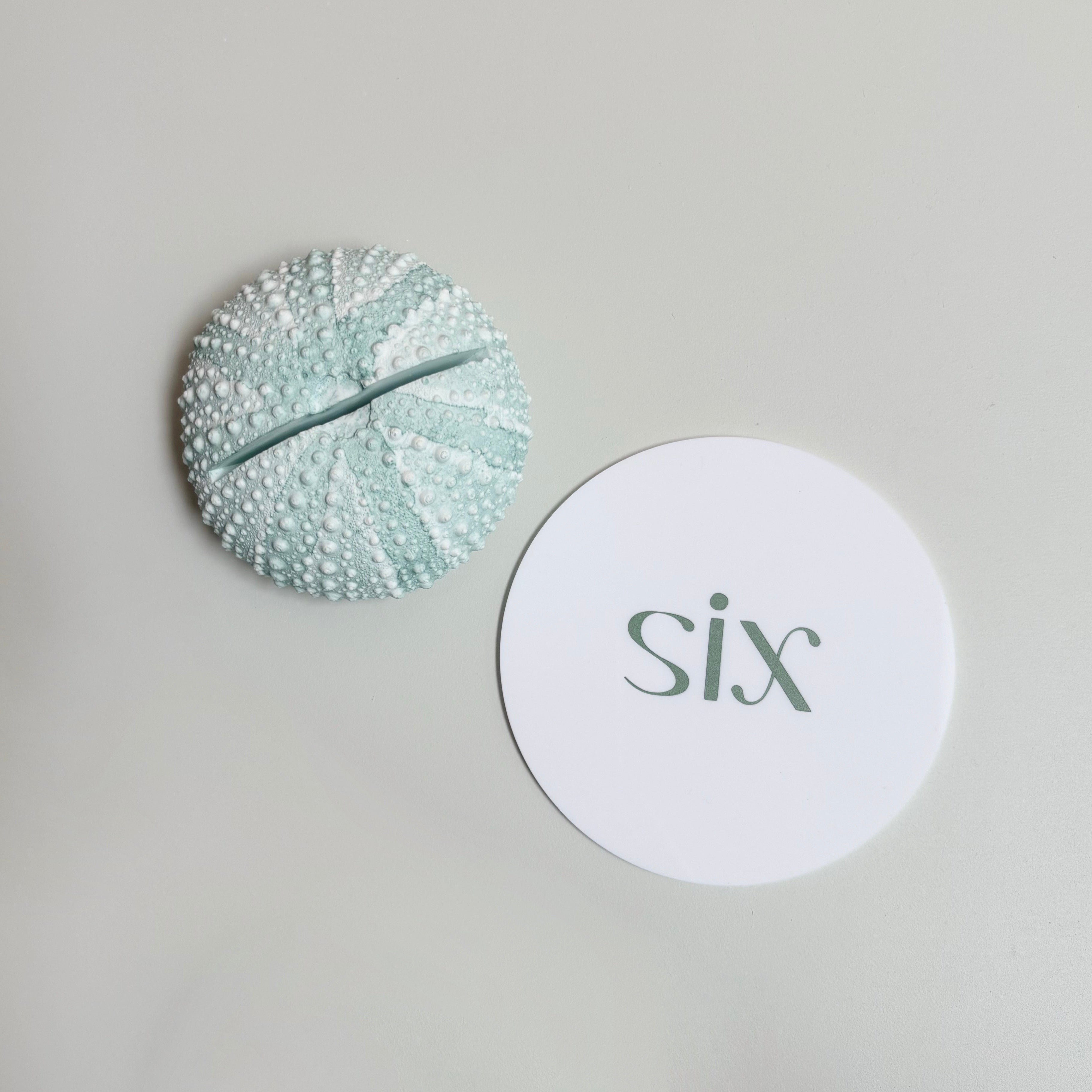 Green Sea Urchin table number & Photo Holder — Eco Resin