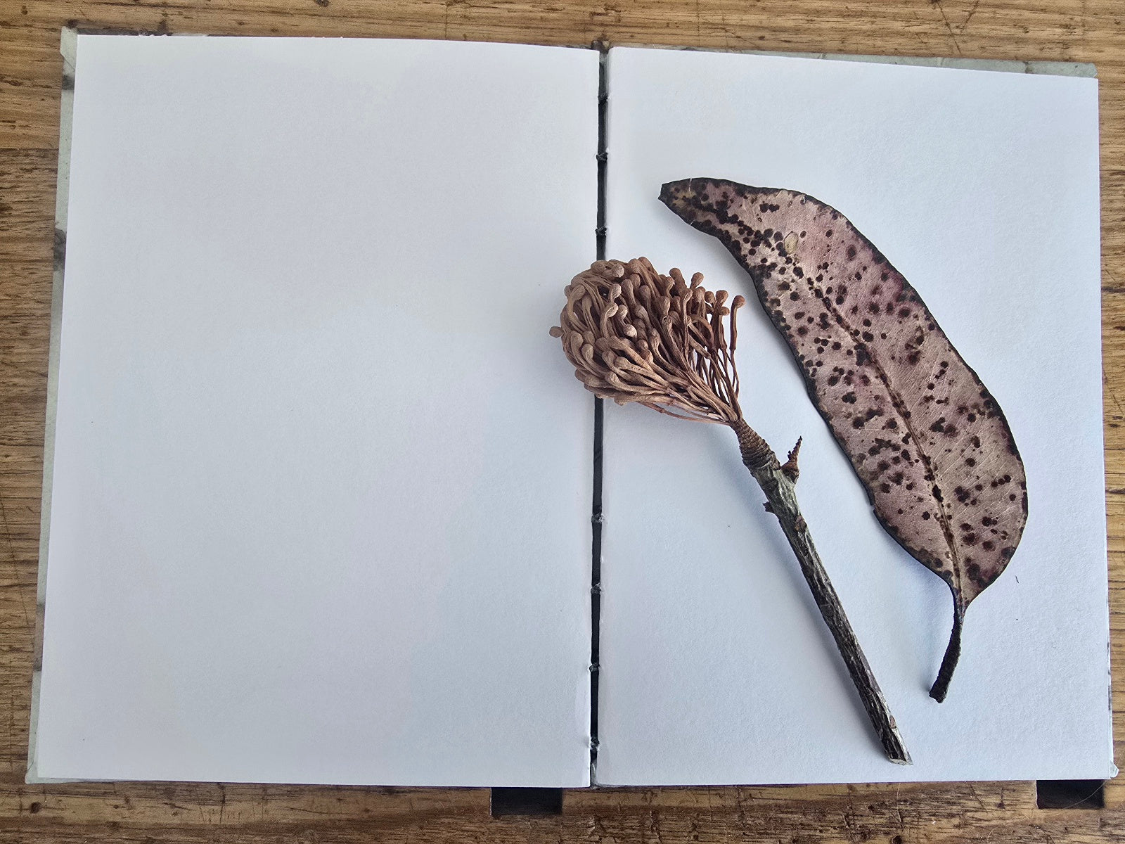 Hand Made Journal with Original Art Eco Print  Covers