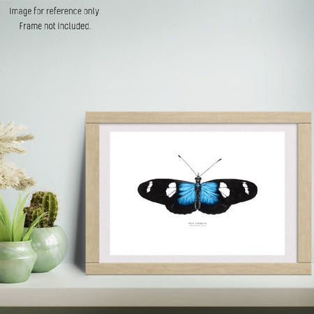 Watercolour Art Print - The Fauna Series - 'Sara Longwing Butterfly'