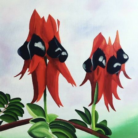 Sturt Desert Pea