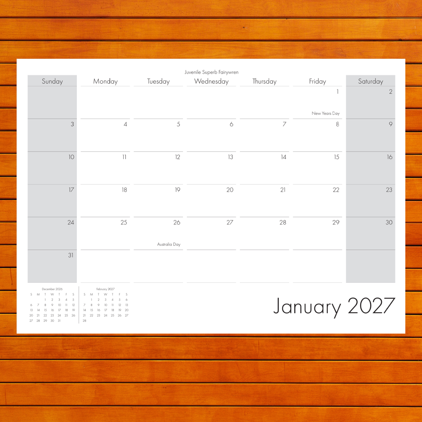 2027 Calendar - A Year of Birds - A4 Photographic Calendar