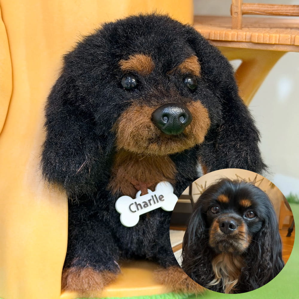 Custom Dog Replica from Photo, Poseable Art Doll, Pet Memorial Keepsake - Handmade Soft Sculpture, Personalised Plushie Ornament