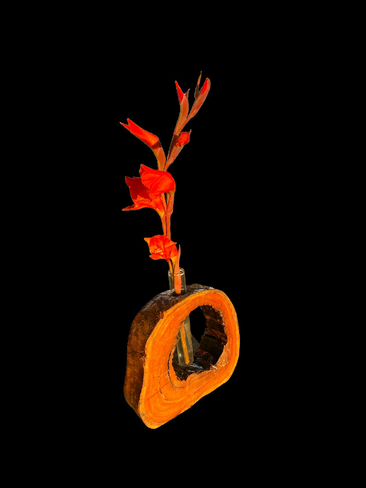 Rustic hardwood vase - full - test tube