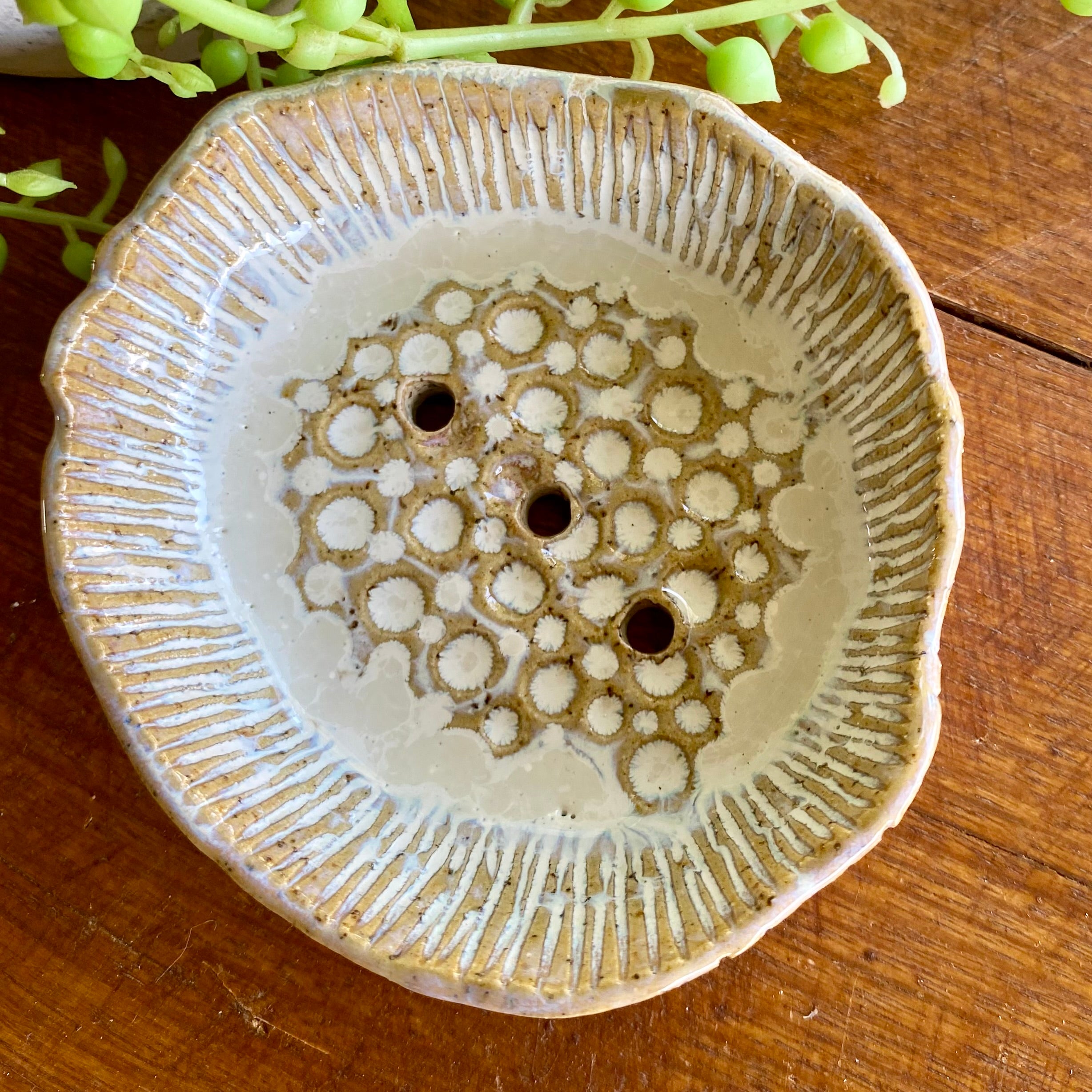 Organic Handcrafted Shampoo/ConditionerBar Holder/HandmadePottery