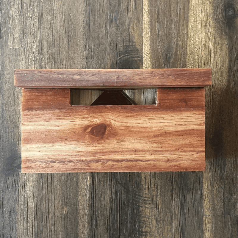 Wildhorse Handcrafted Wood Phone Amplifier – Cord Free