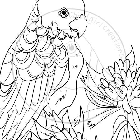 Gang Gang Cockatoo colouring in page PDF